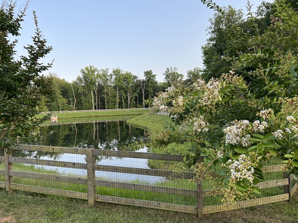 a fenced in area with a pond surrounded by trees