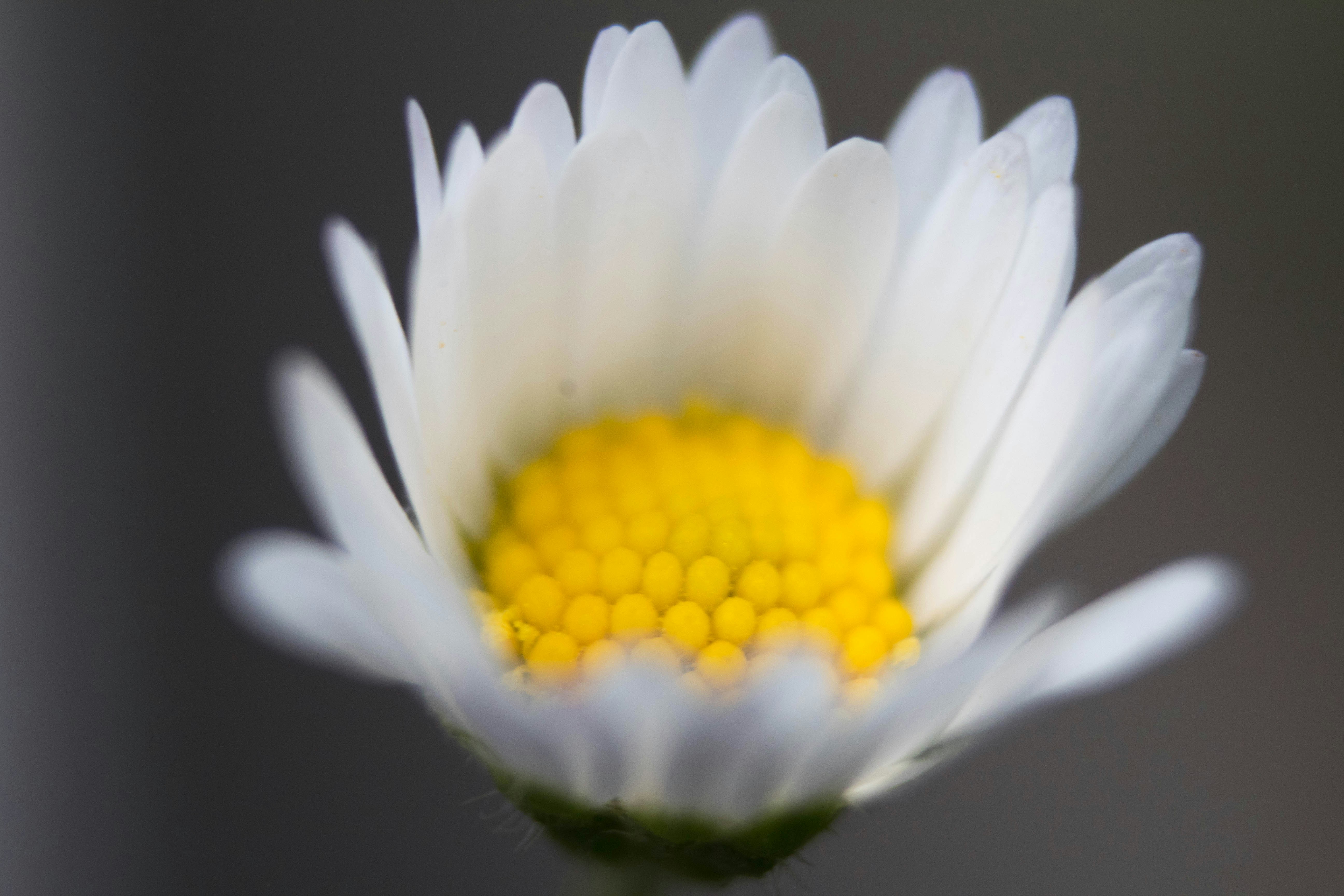 Photo by iversonmodo