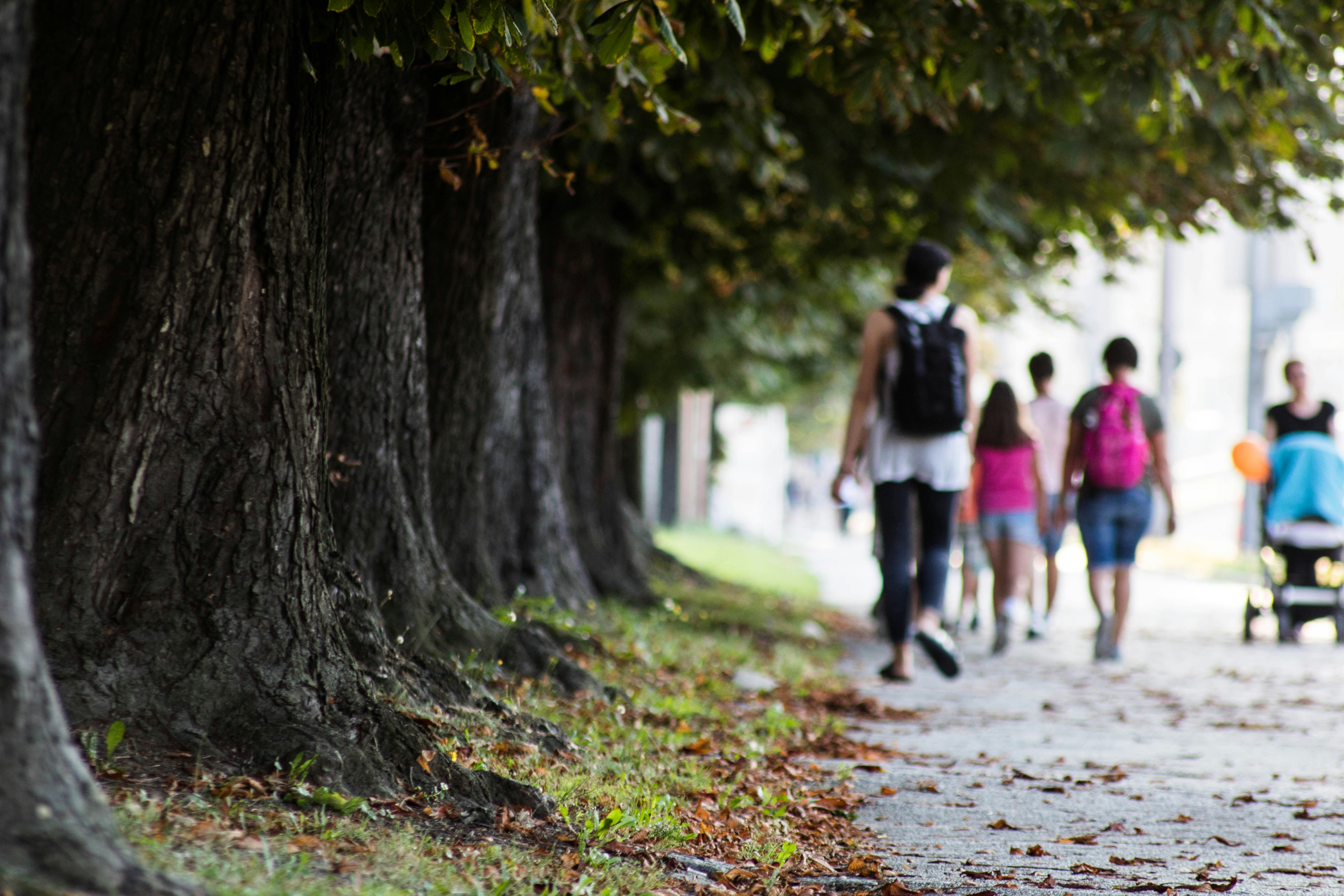 a group of people walking down a sidewalk next to a tree