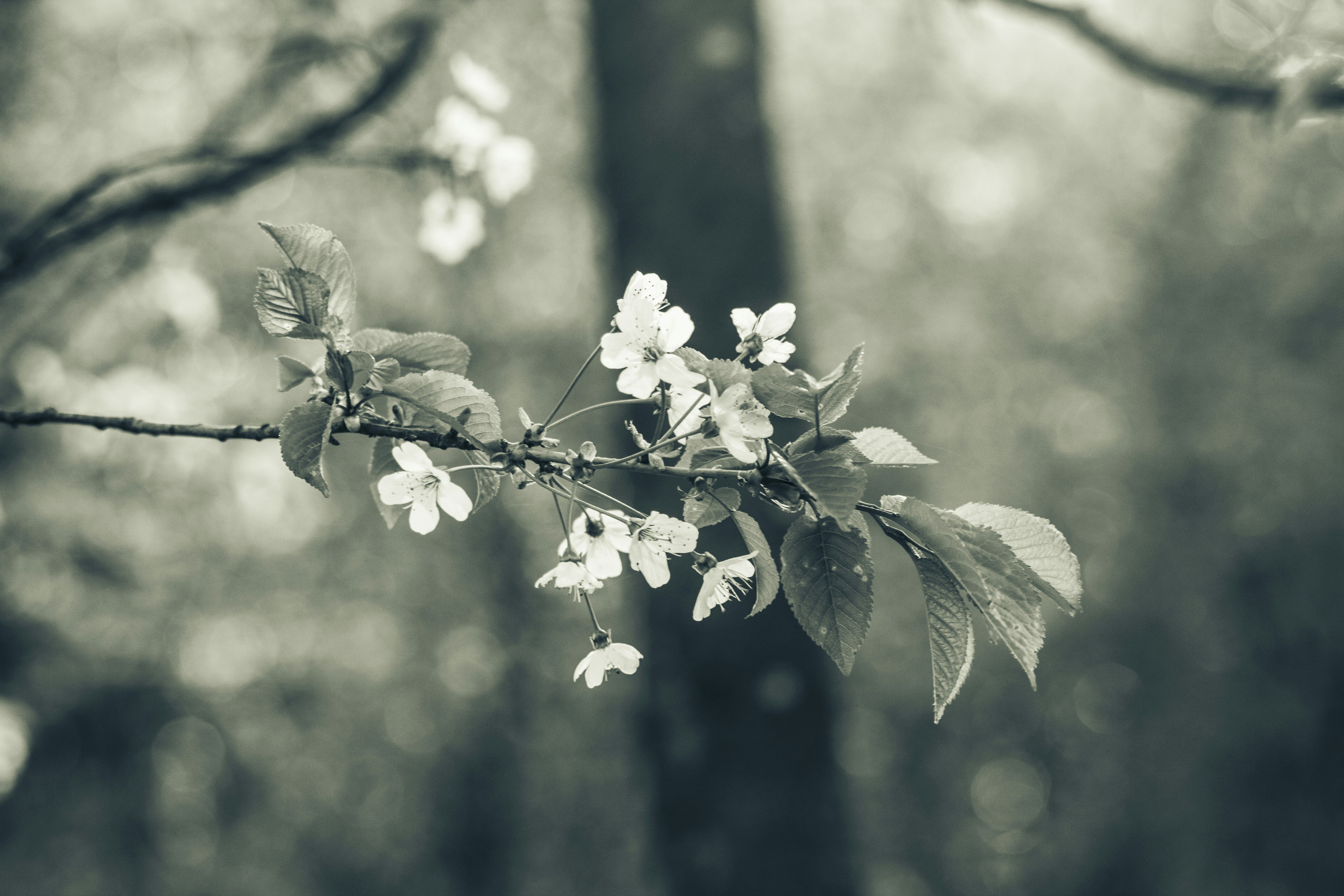 Photo by iversonmodo