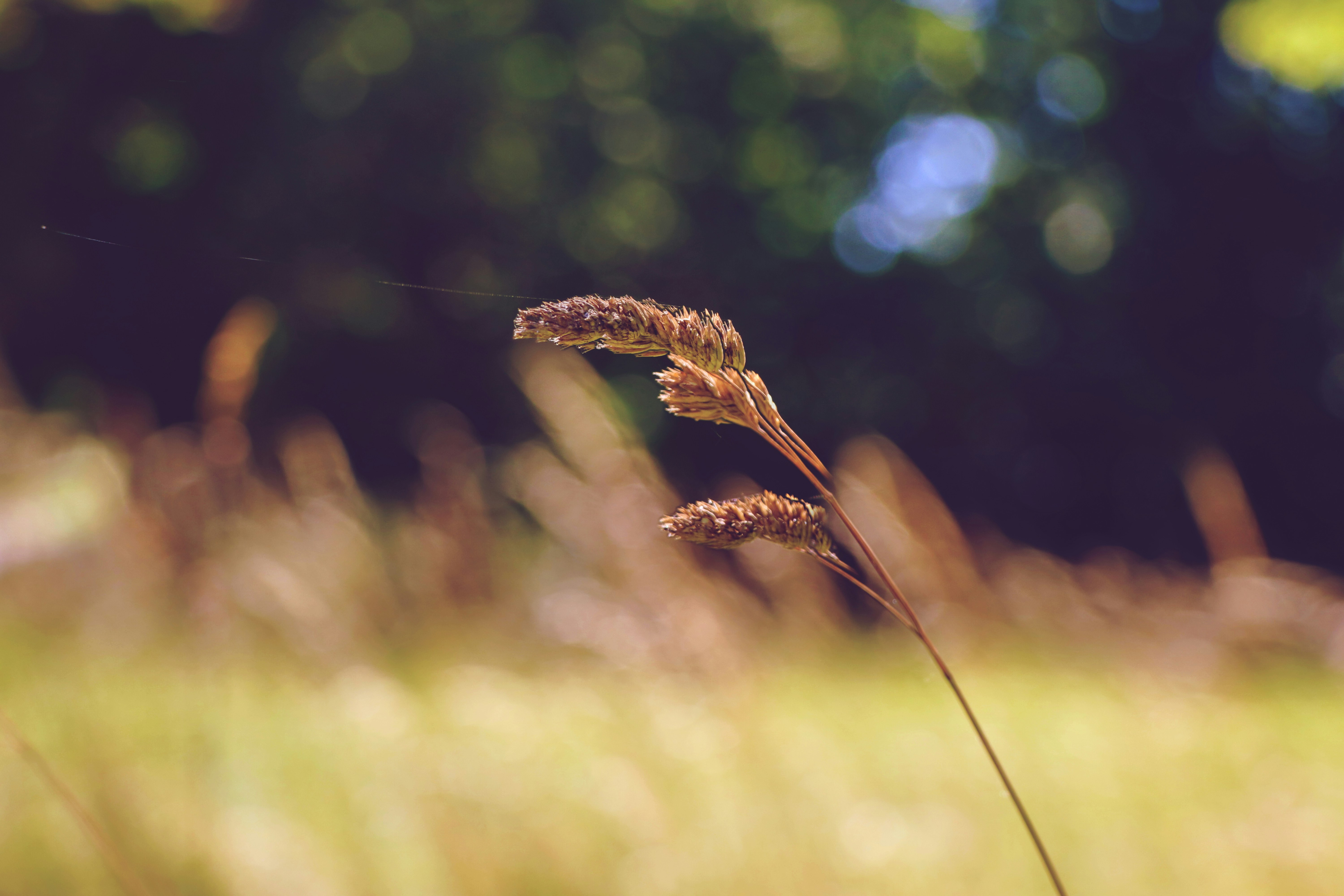 Photo by iversonmodo