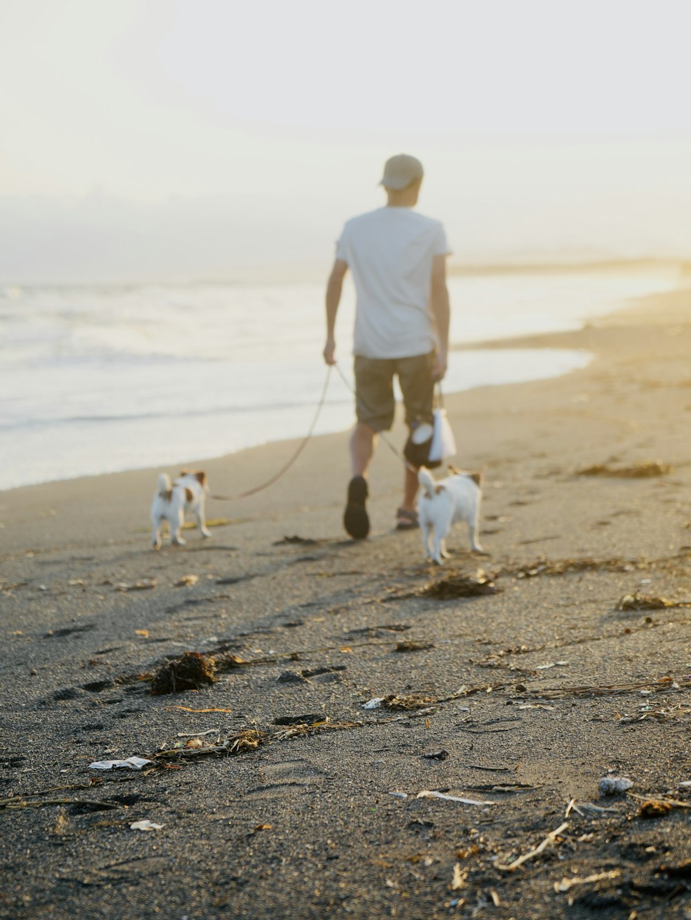 a man walking two dogs on a beach