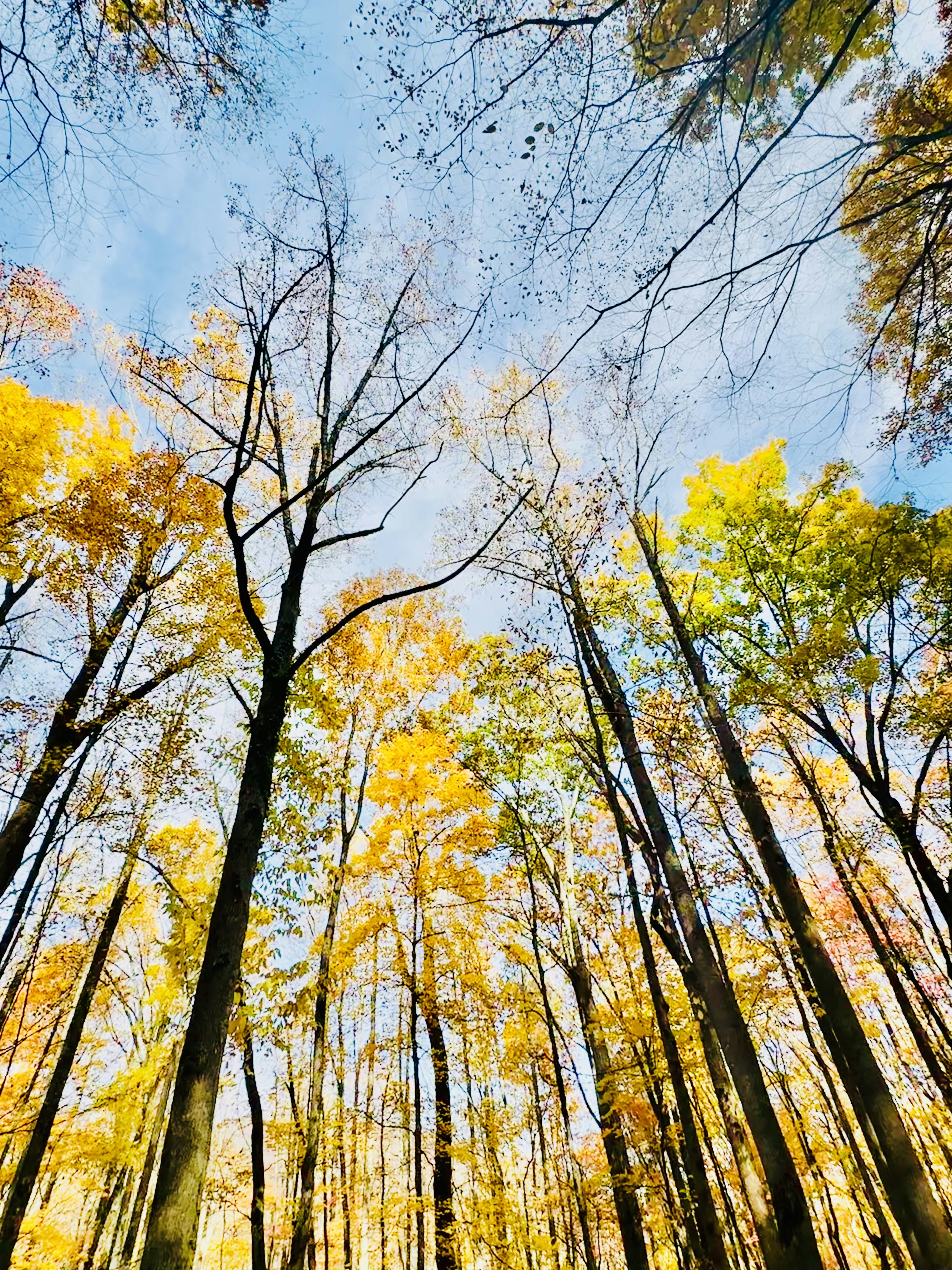 Photo by sandeepkumar