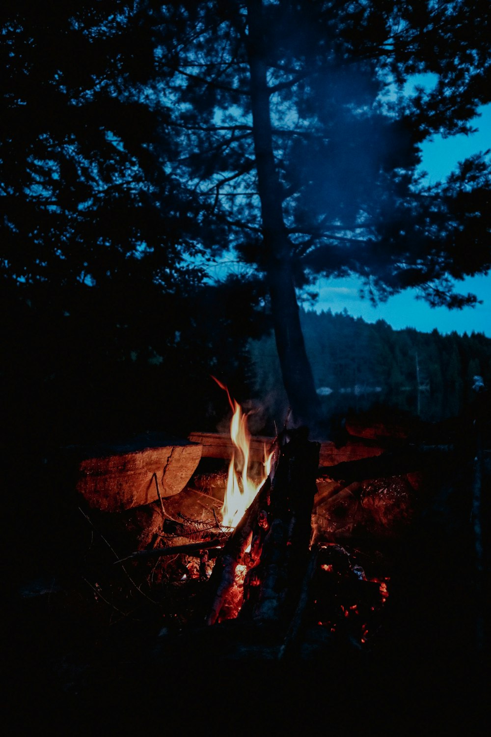 a campfire in the woods at night