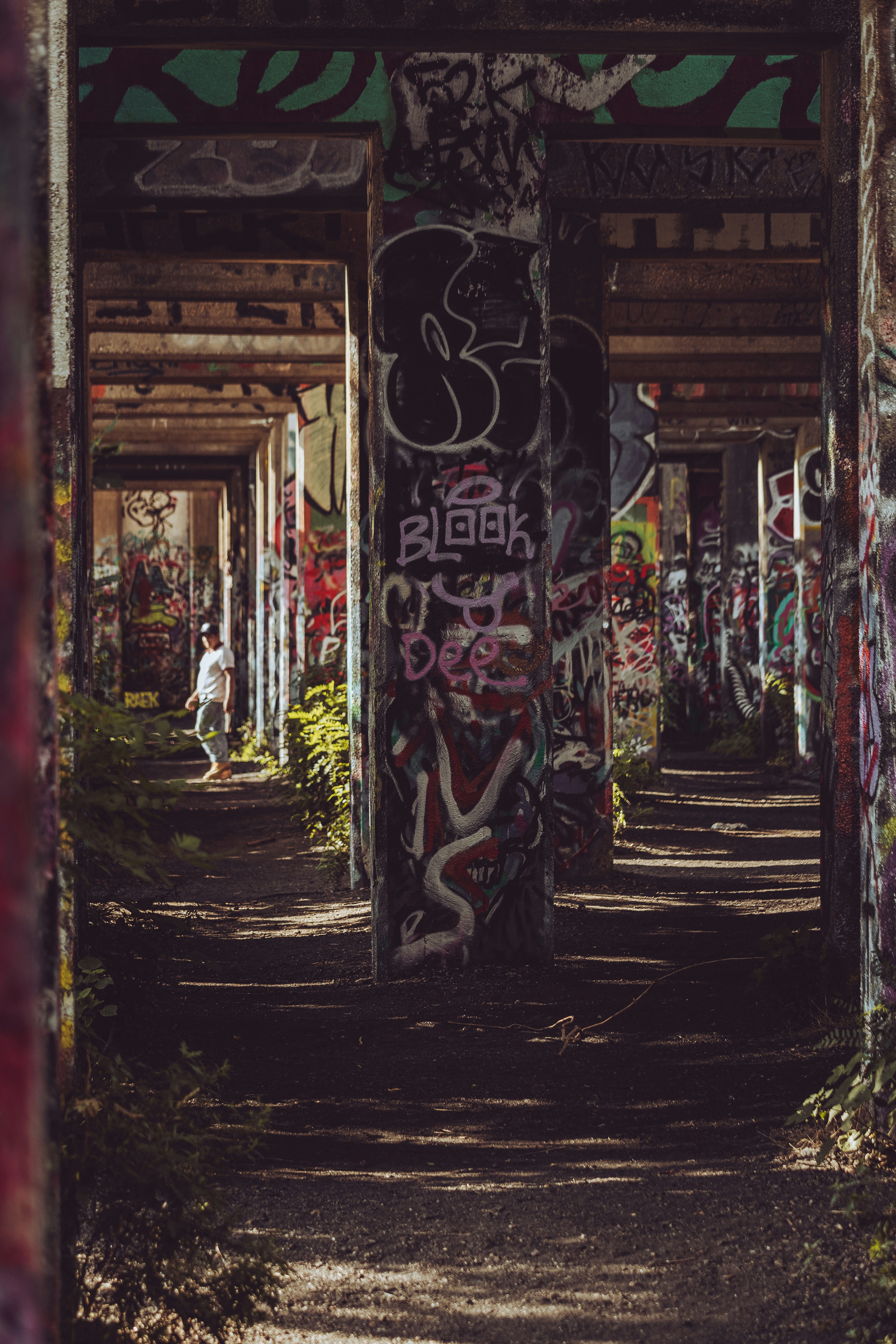 Photo by brice_cooper18