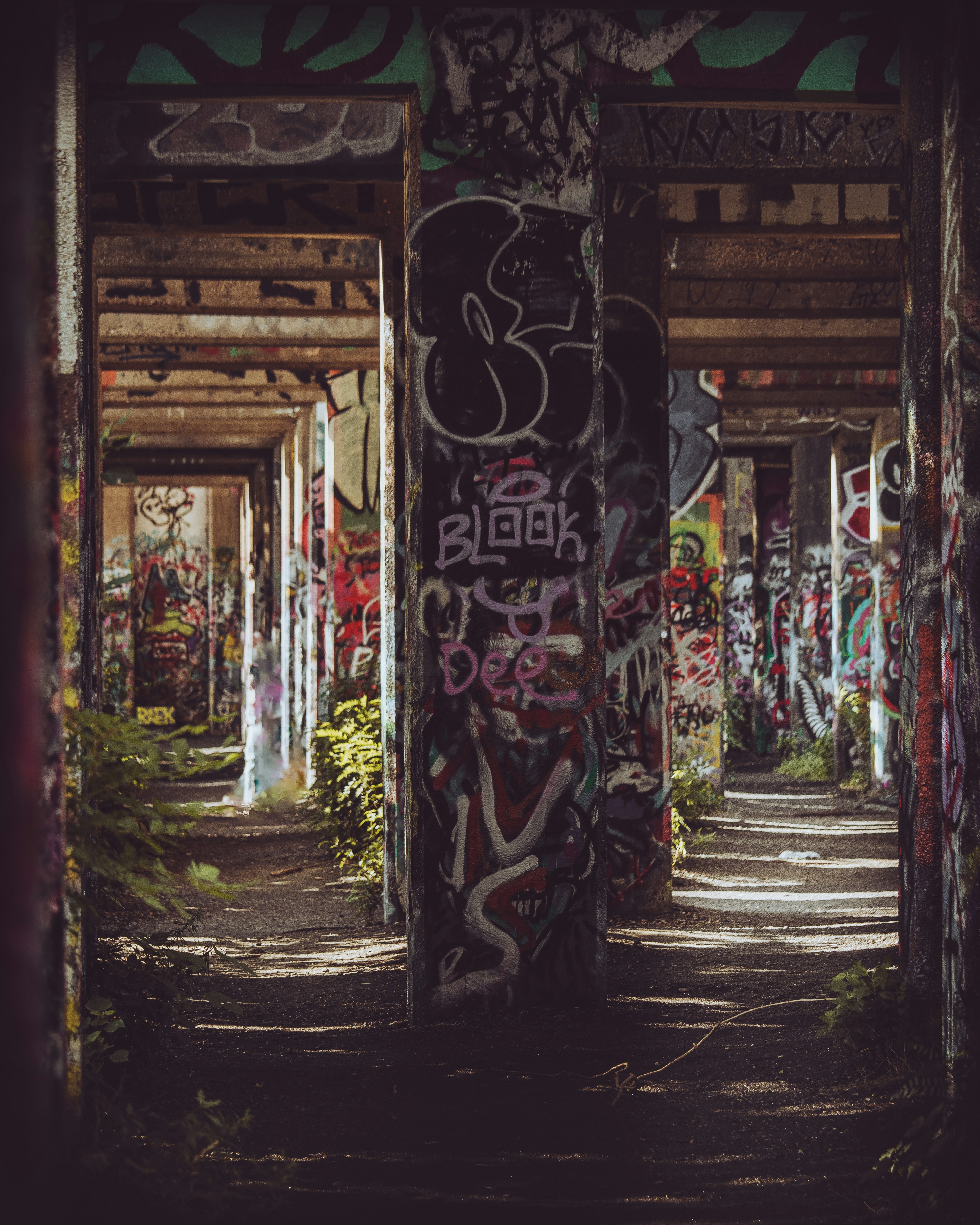 Photo by brice_cooper18