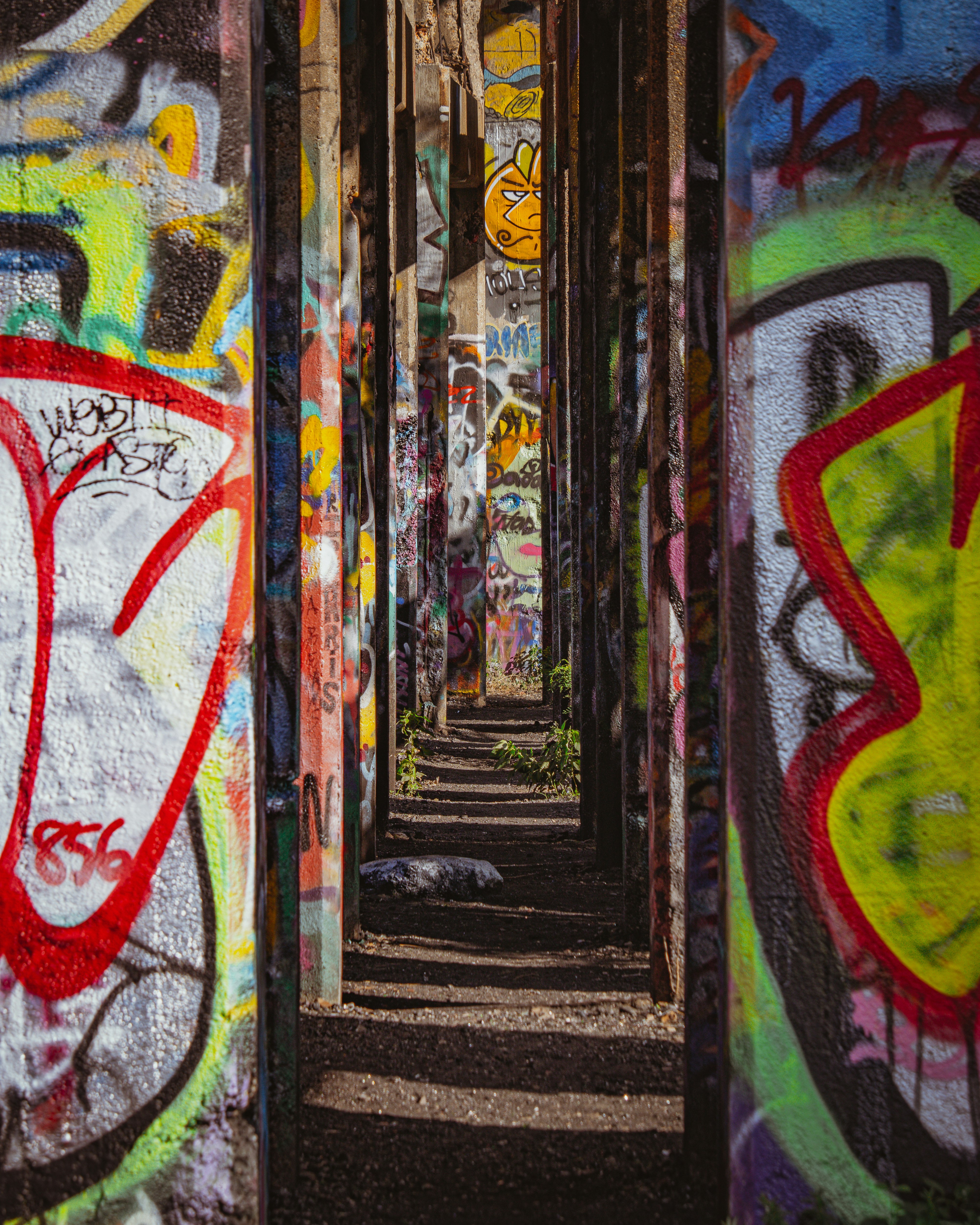 Photo by brice_cooper18