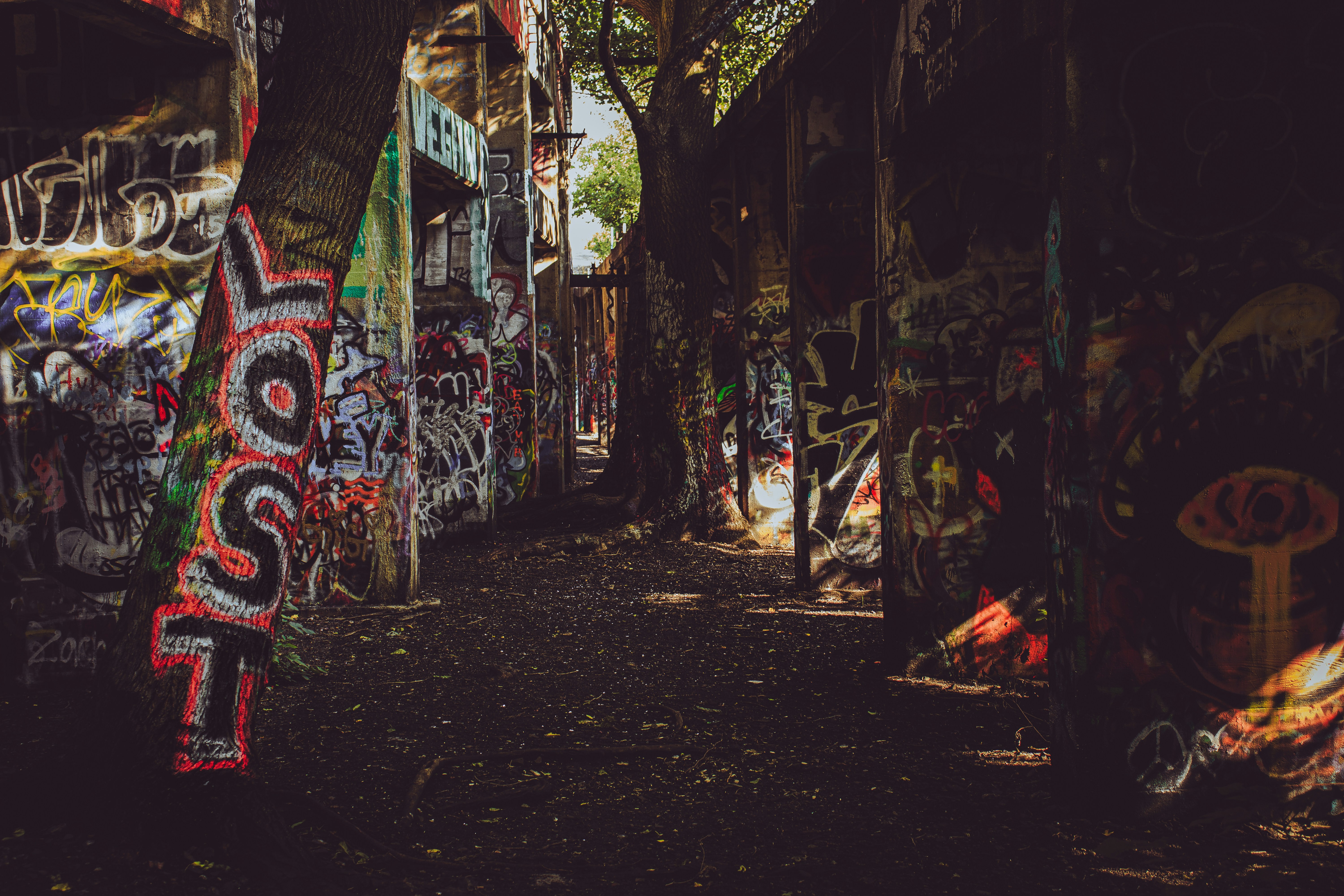 Photo by brice_cooper18