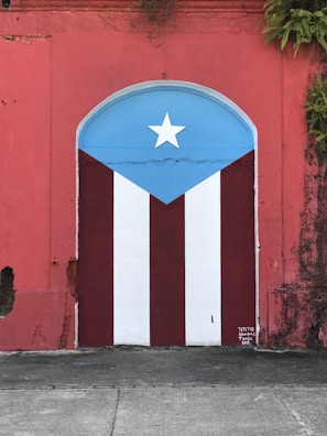 A vibrant mural painted on a wall features the Puerto Rican flag. The design includes vertical red and white stripes with a blue triangle on top, displaying a white star at its center. The surrounding wall is weathered red with ivy or plants growing from the top.