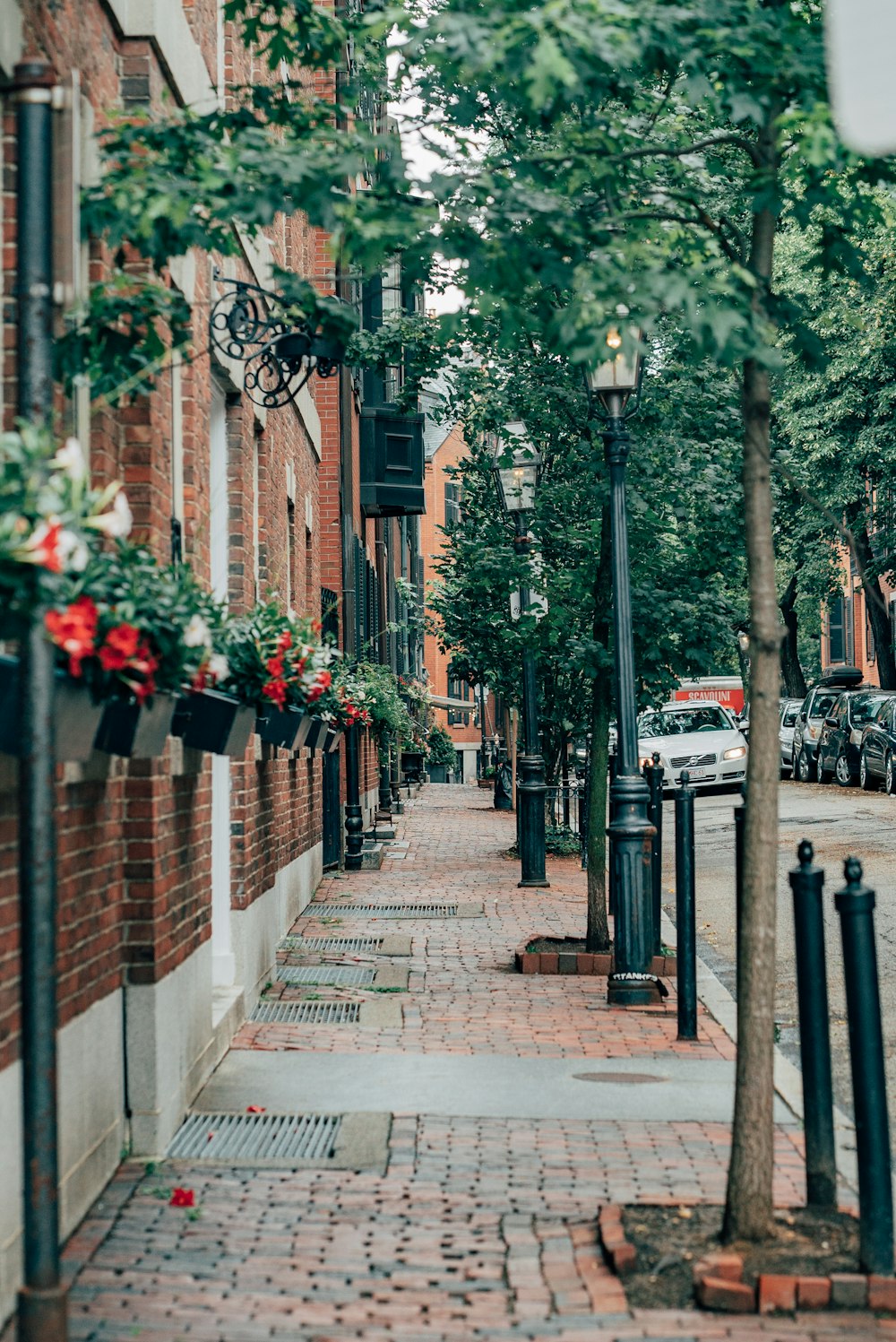 a brick sidewalk lined with potted plants