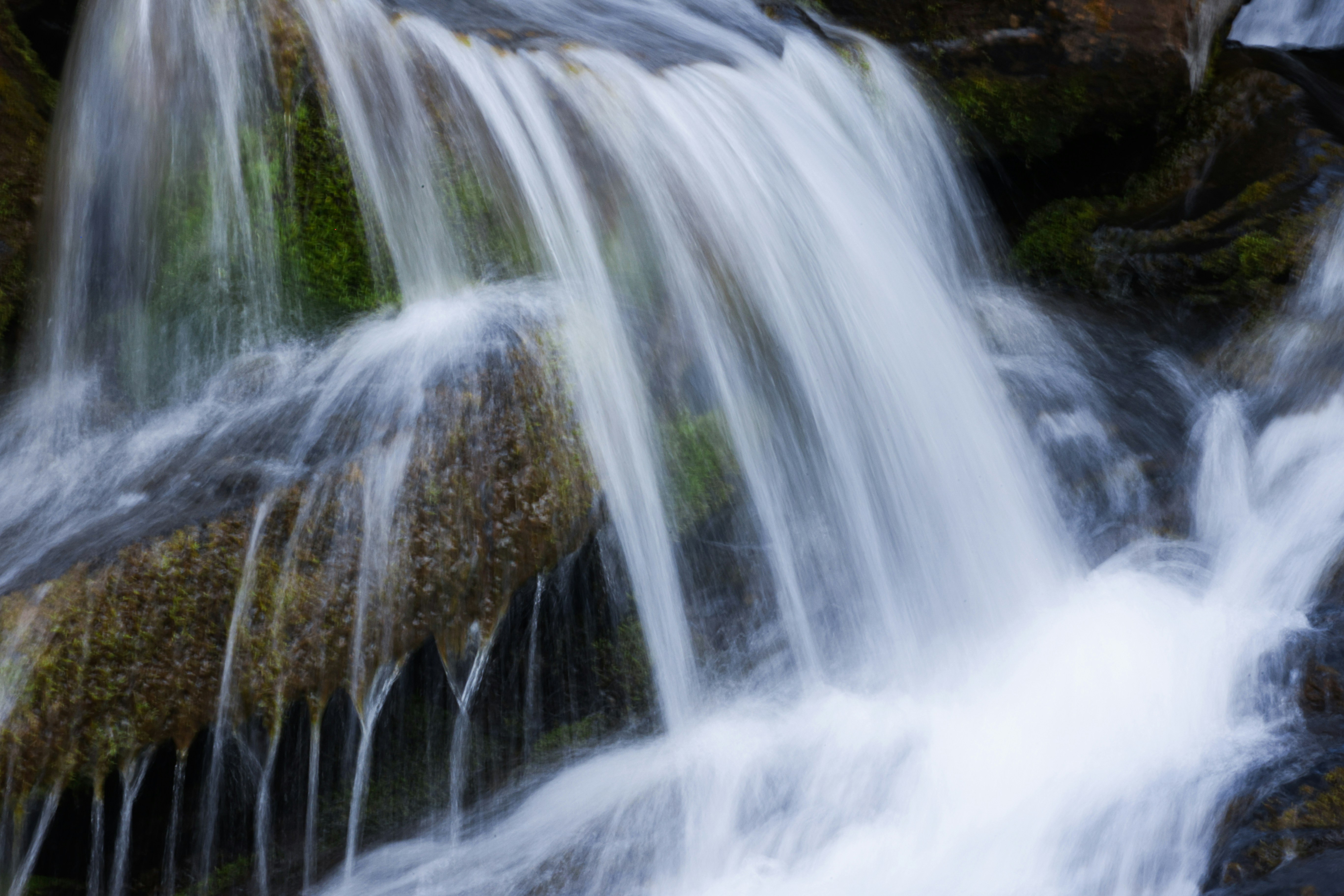 Photo by jossbroward