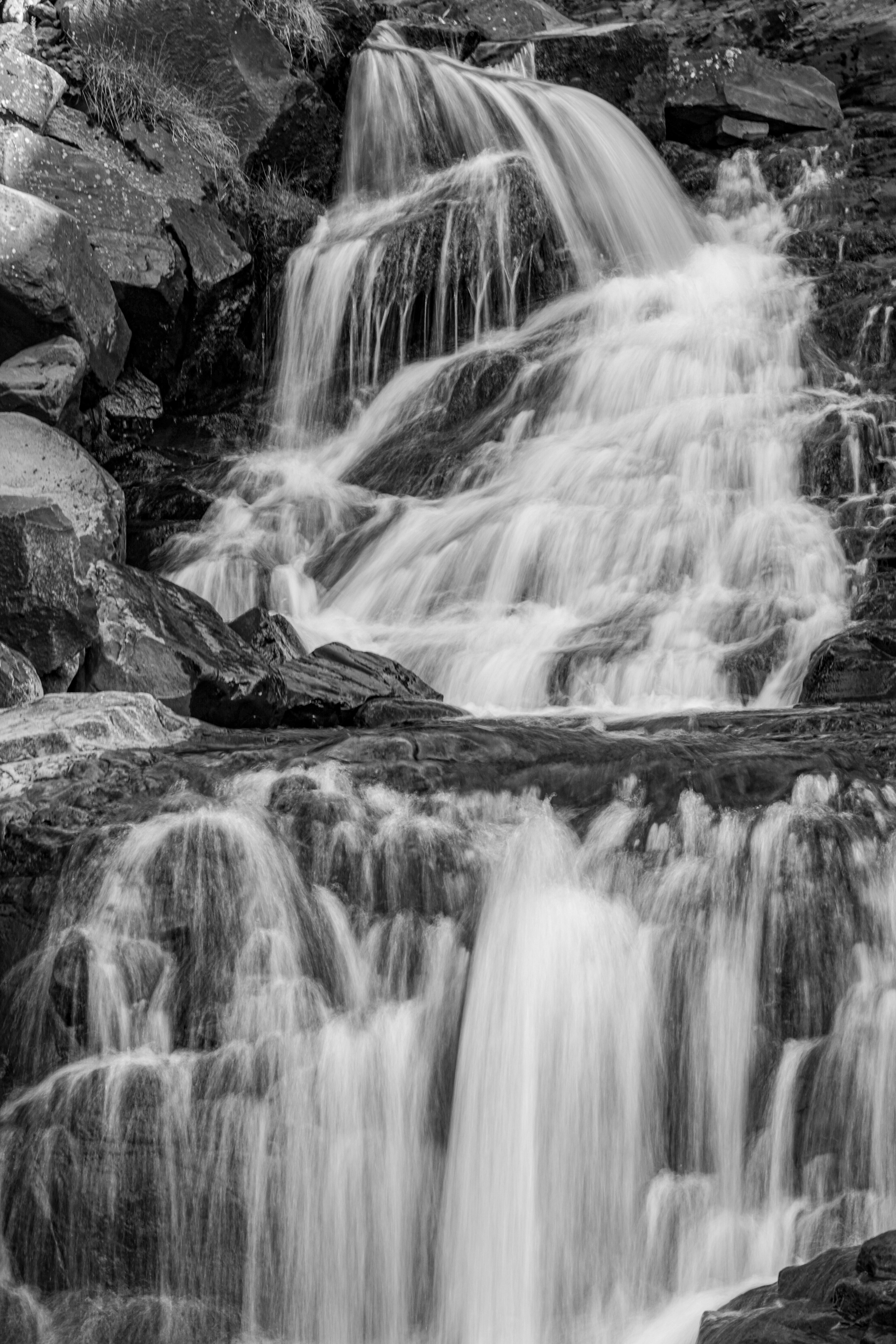 Photo by jossbroward