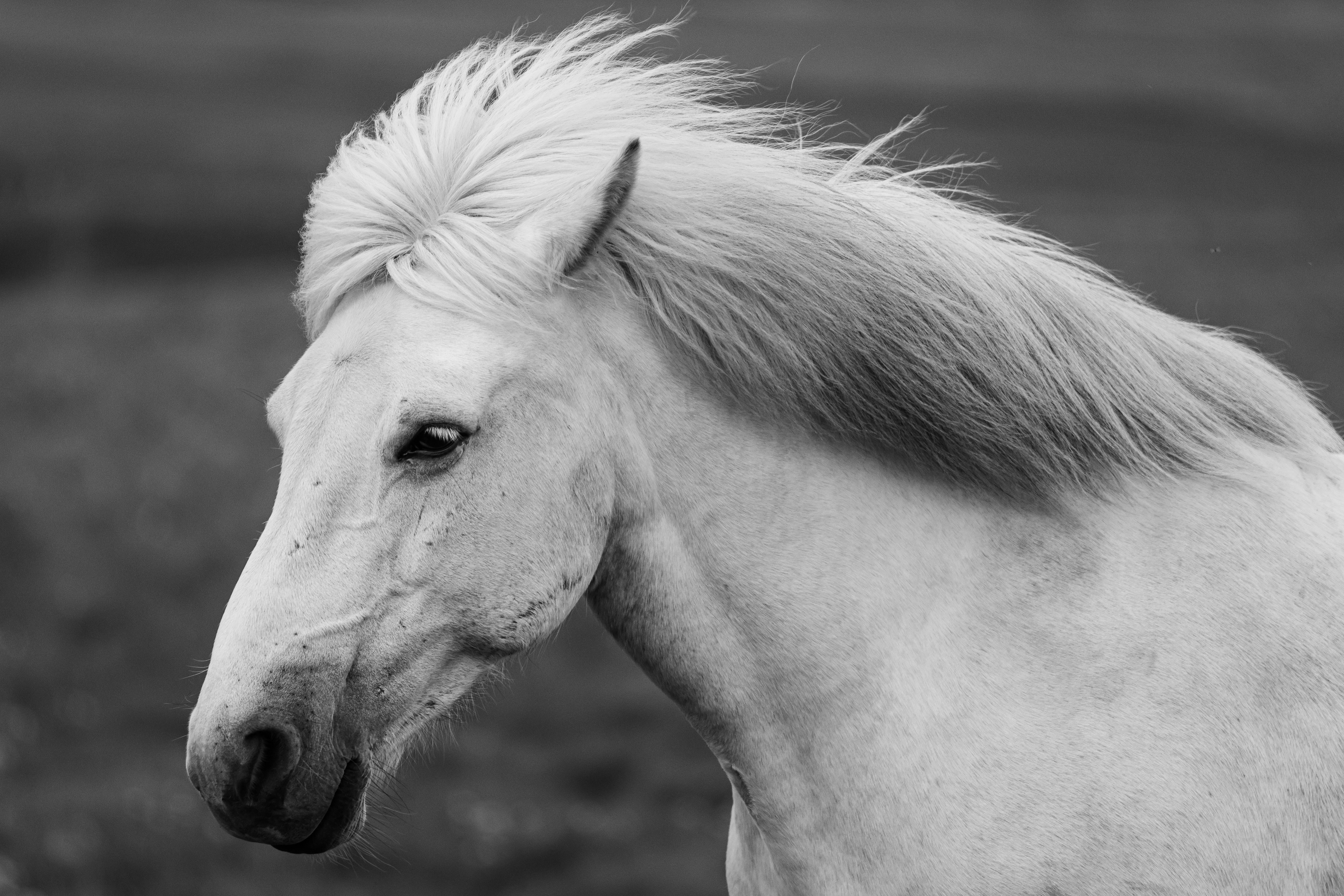 Photo by jossbroward