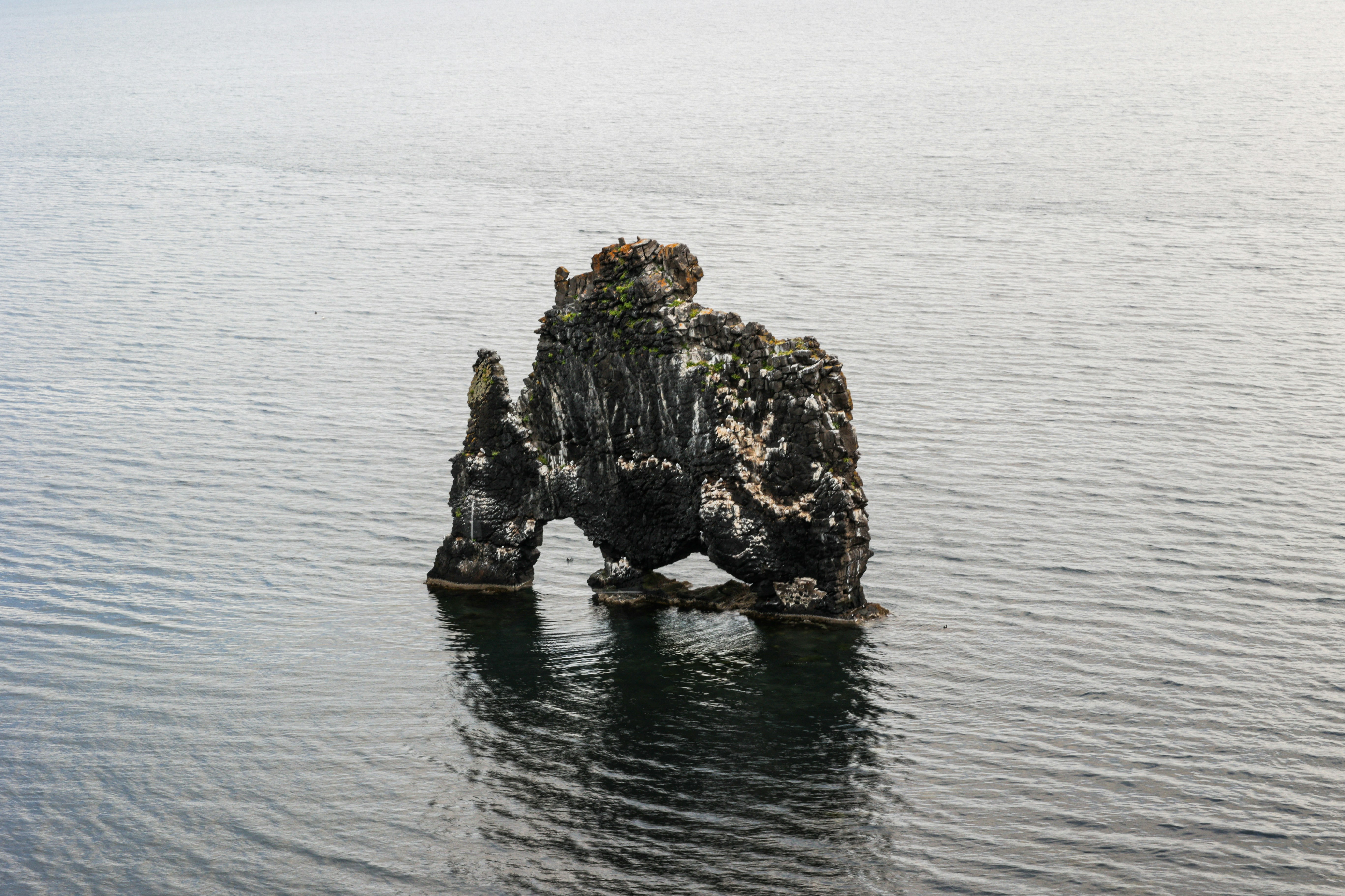 Photo by jossbroward