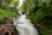 A vibrant photo of a waterfall cascading through lush greenery in Tijuca National Park.