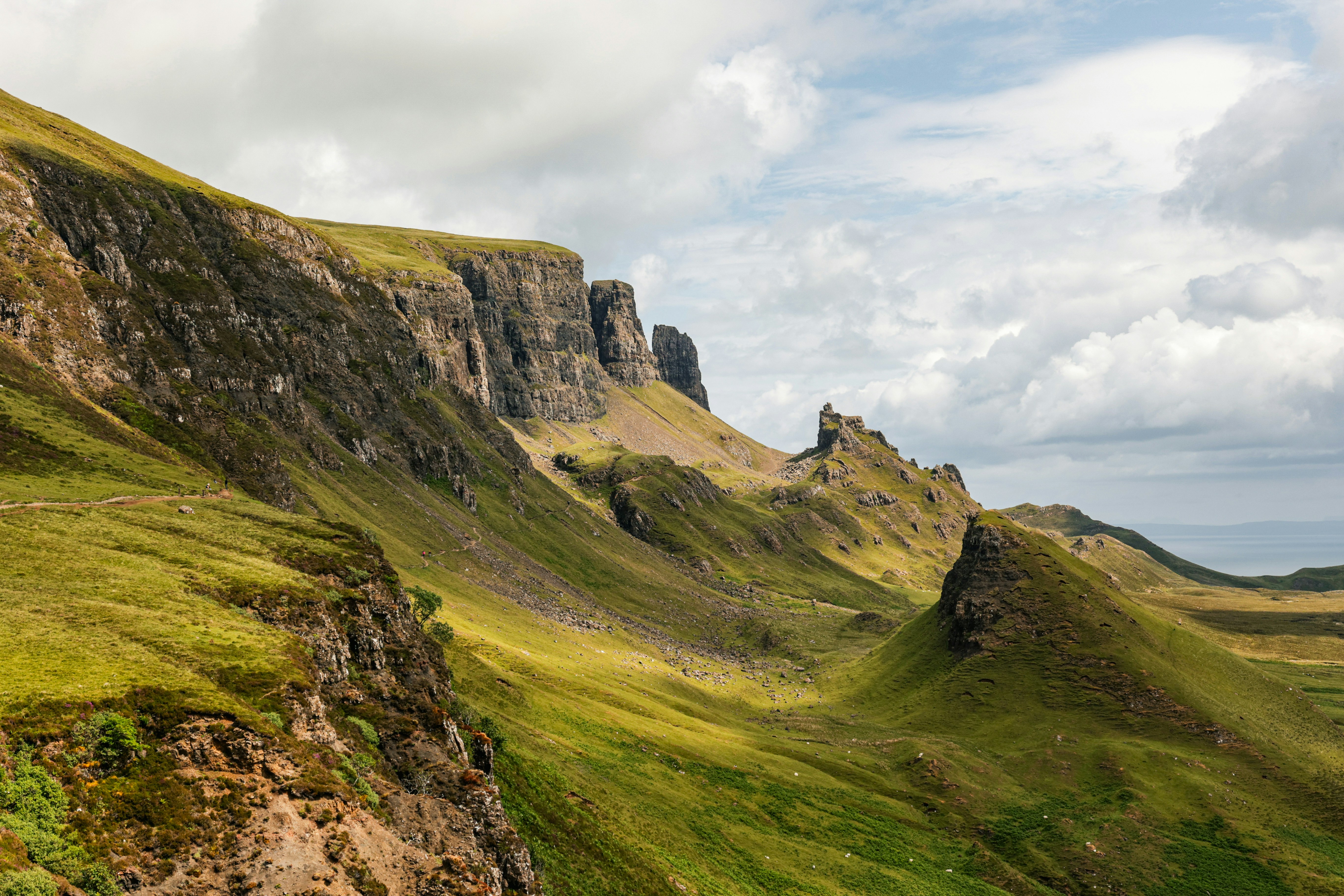 Un campo cubierto de hierba con flores y rocas en el fondo foto – Imagen de  Otoño gratuita en Unsplash, image size:3000x2000