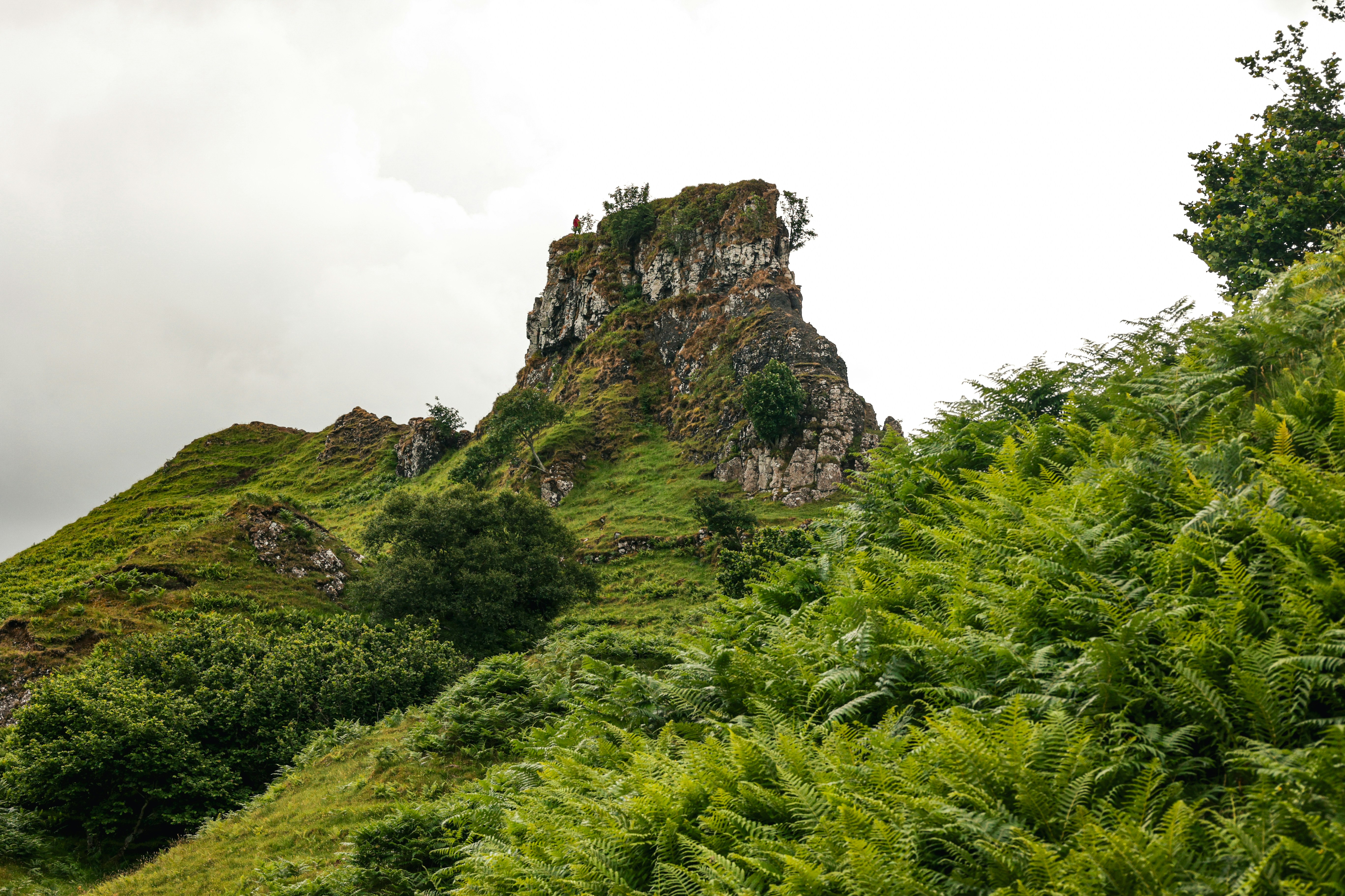 Photo by jossbroward