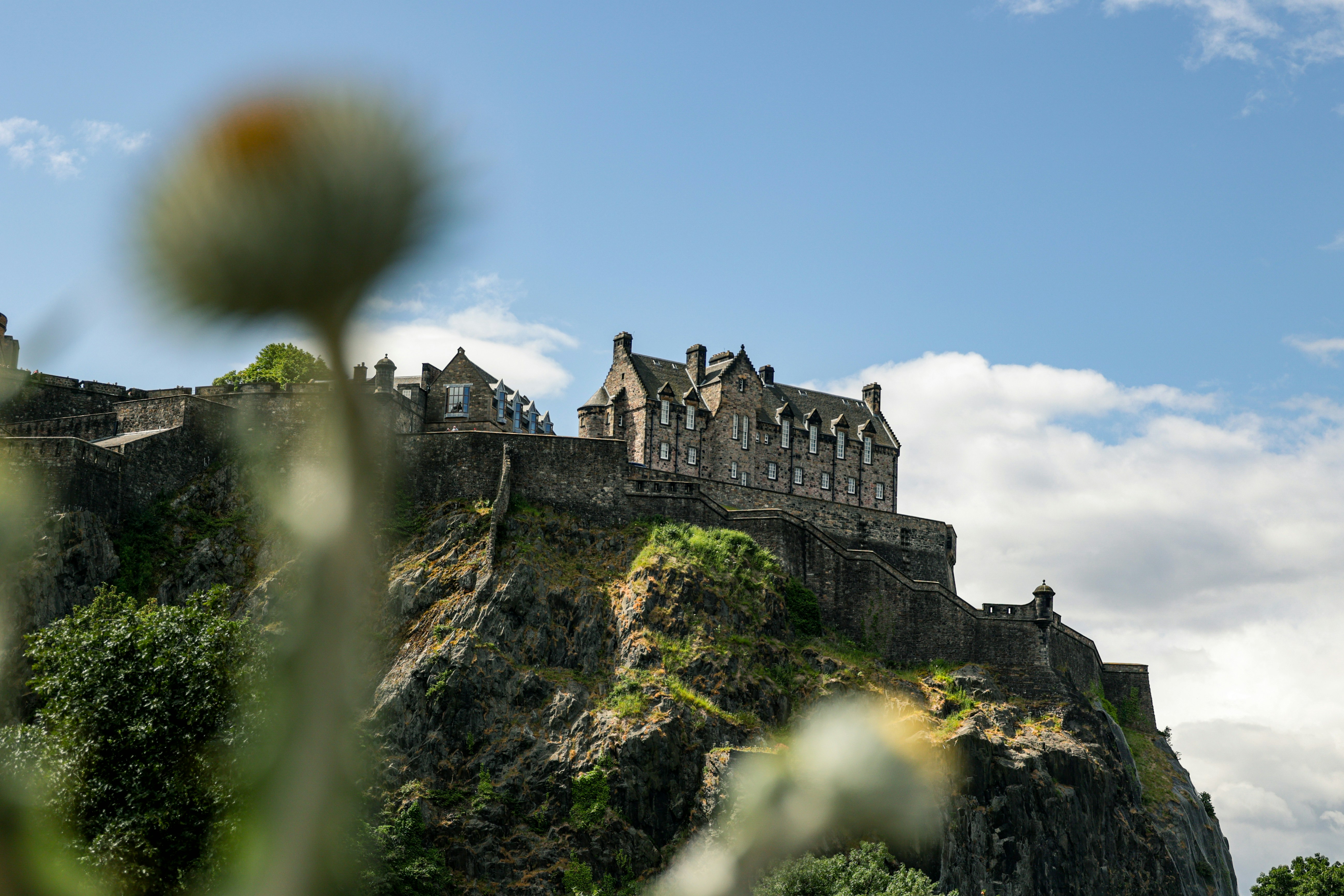 Photo by jossbroward