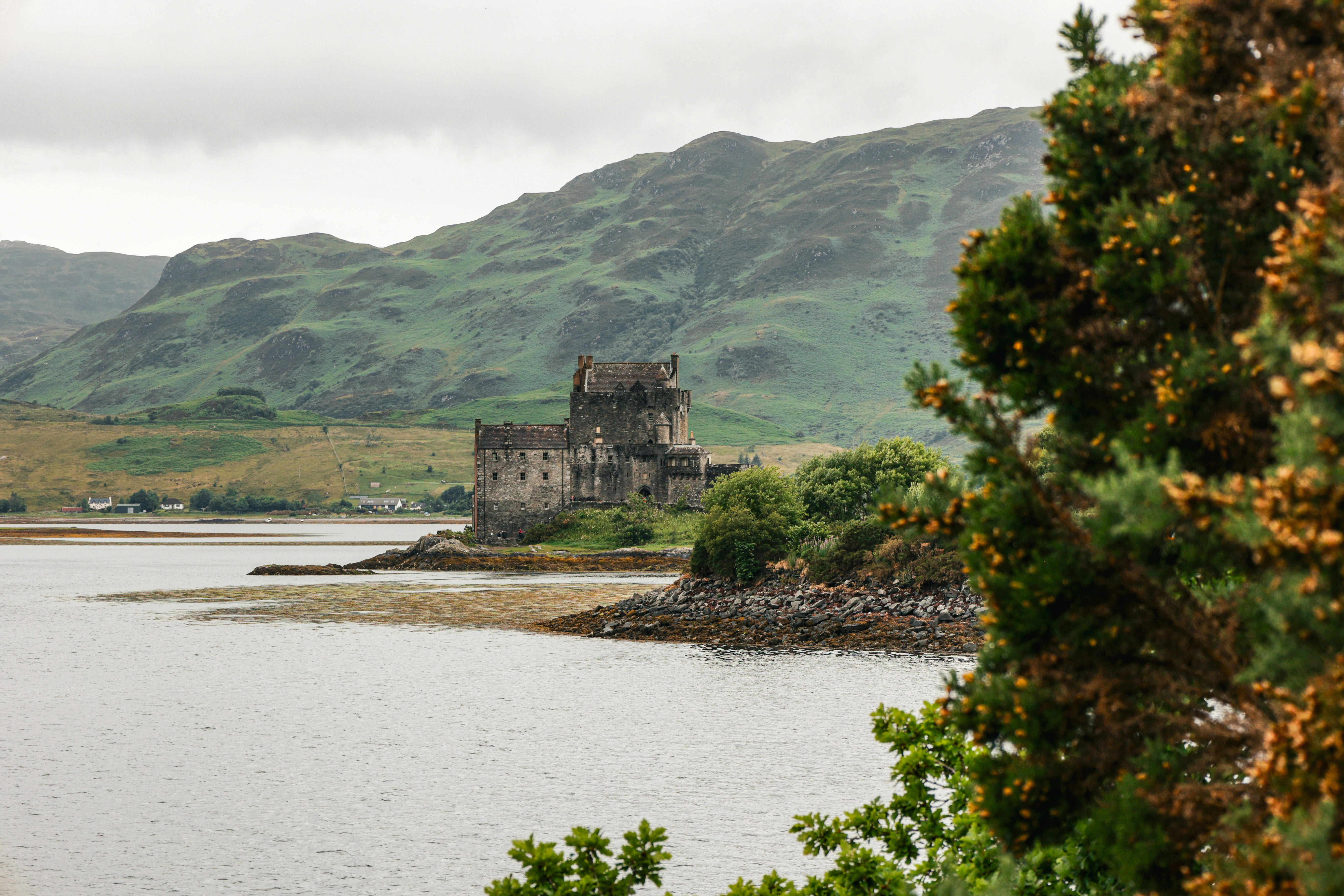 Photo by jossbroward