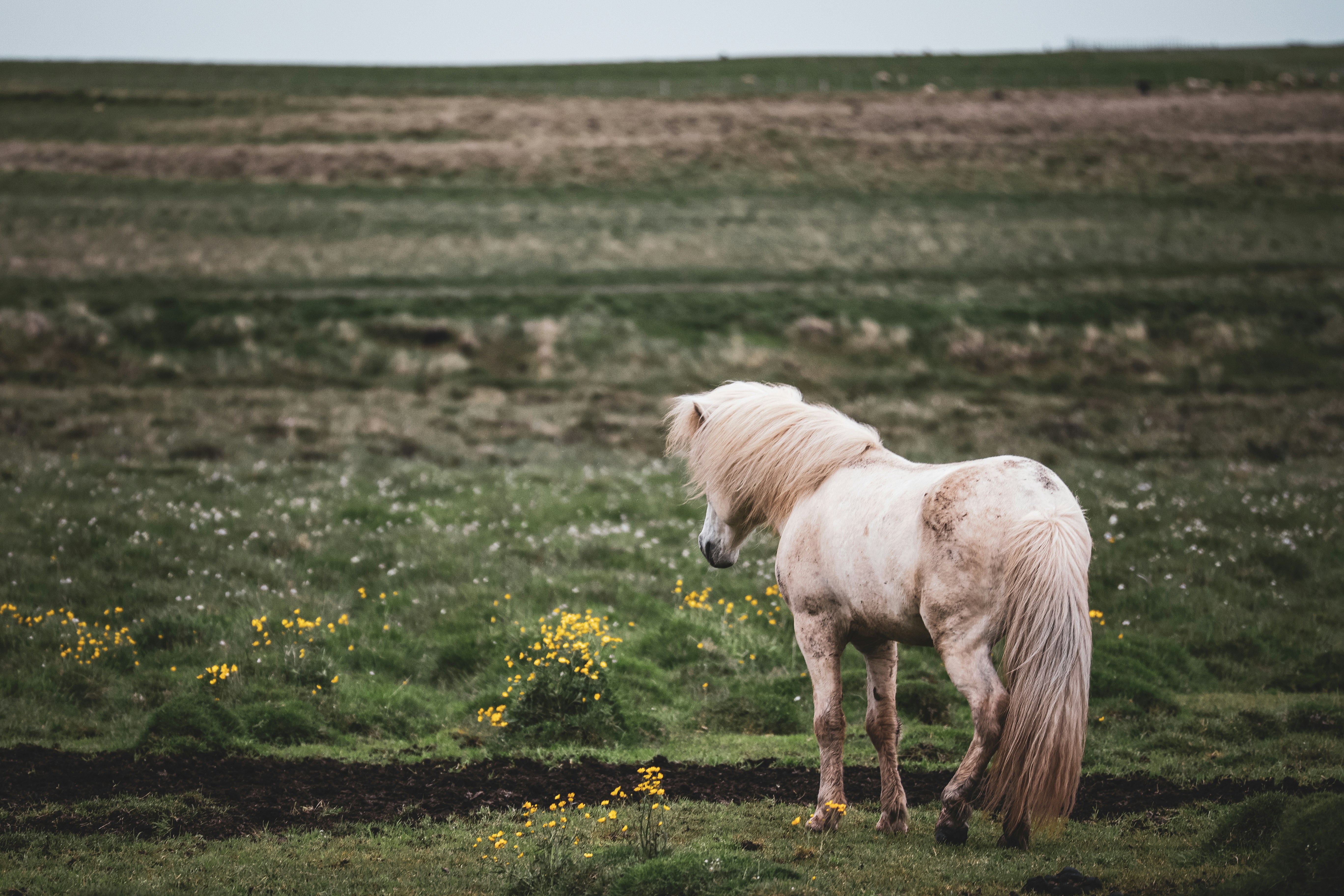 Photo by jossbroward