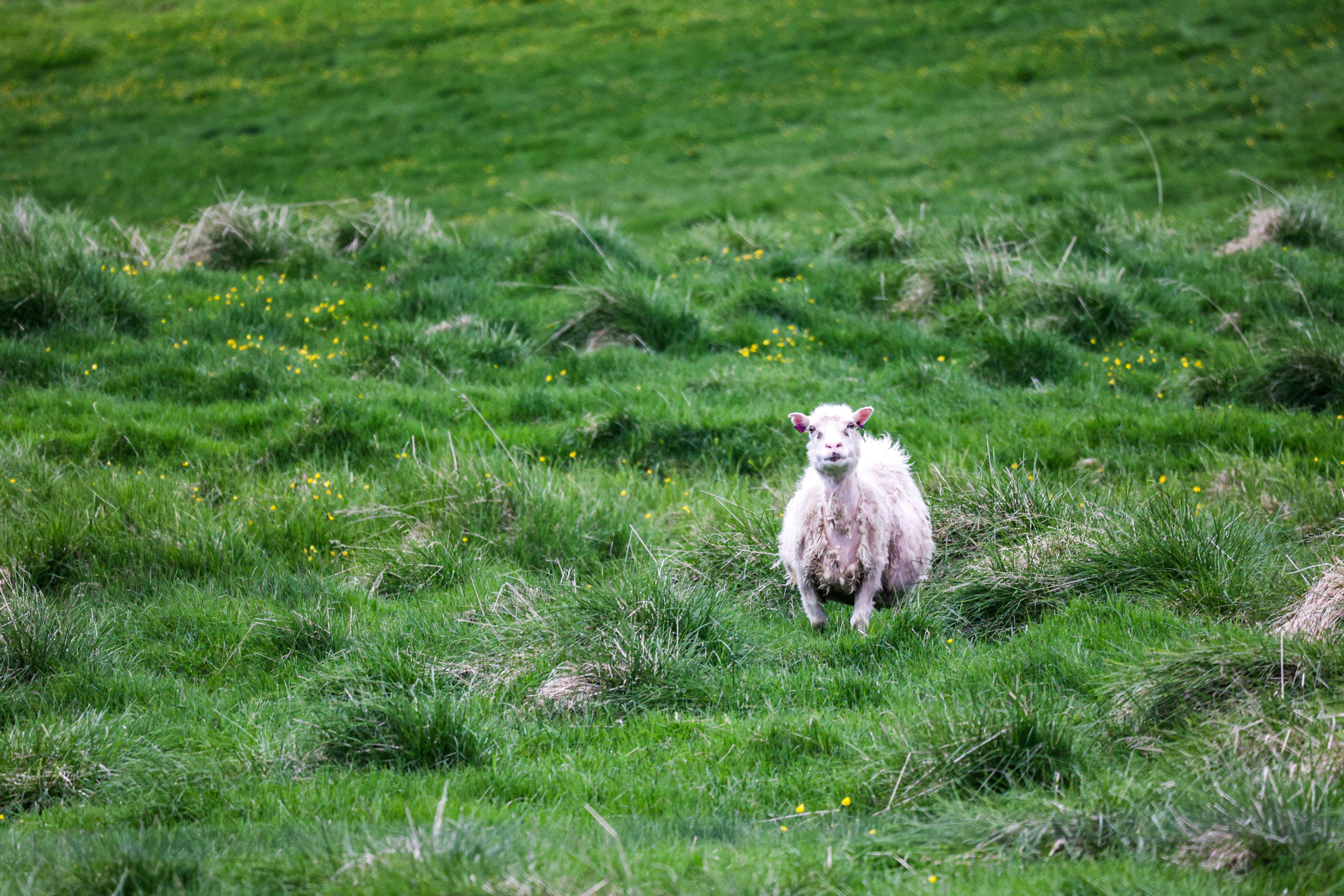 Photo by jossbroward