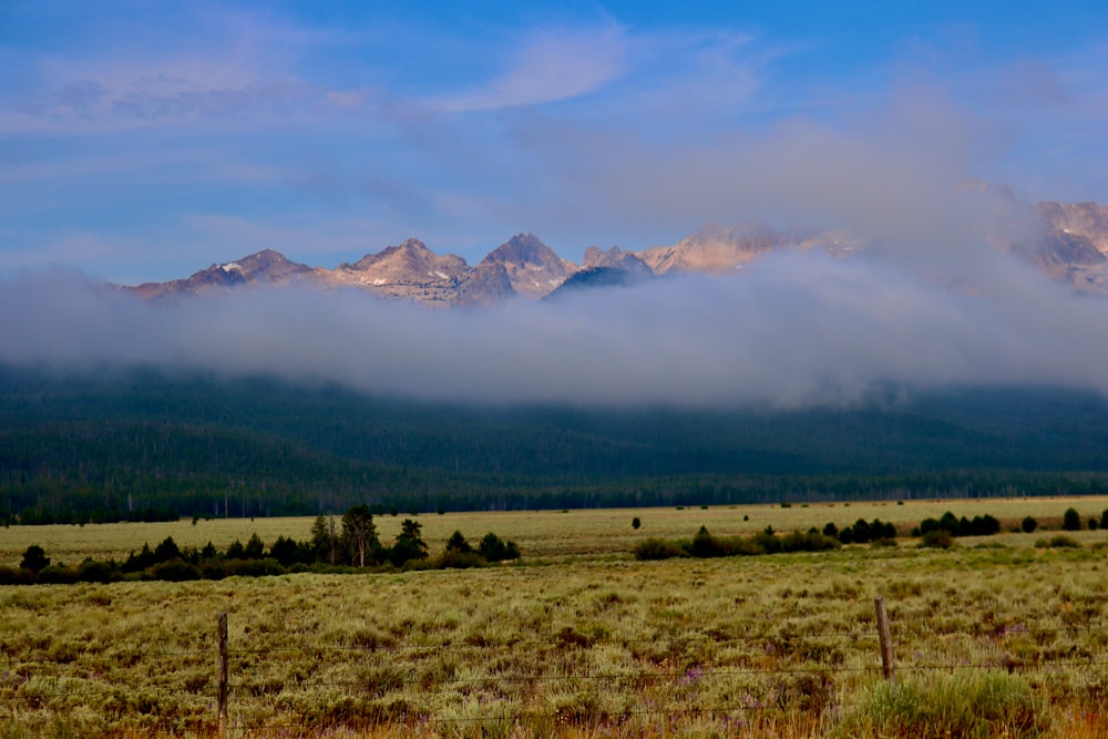 a field with a fence and mountains in the background