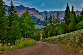 a dirt road surrounded by trees and mountains