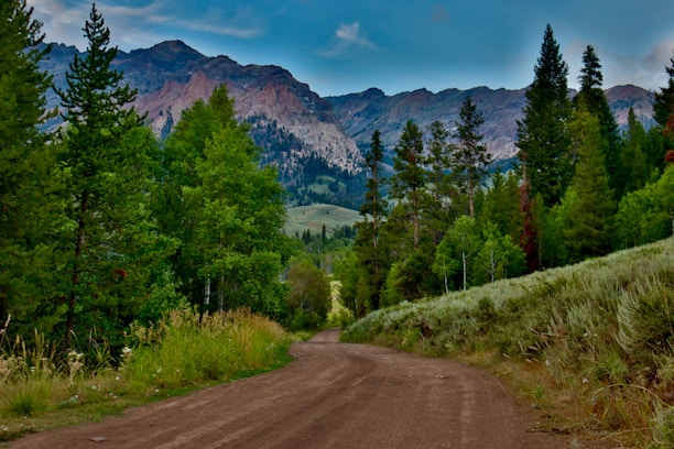 a dirt road surrounded by trees and mountains