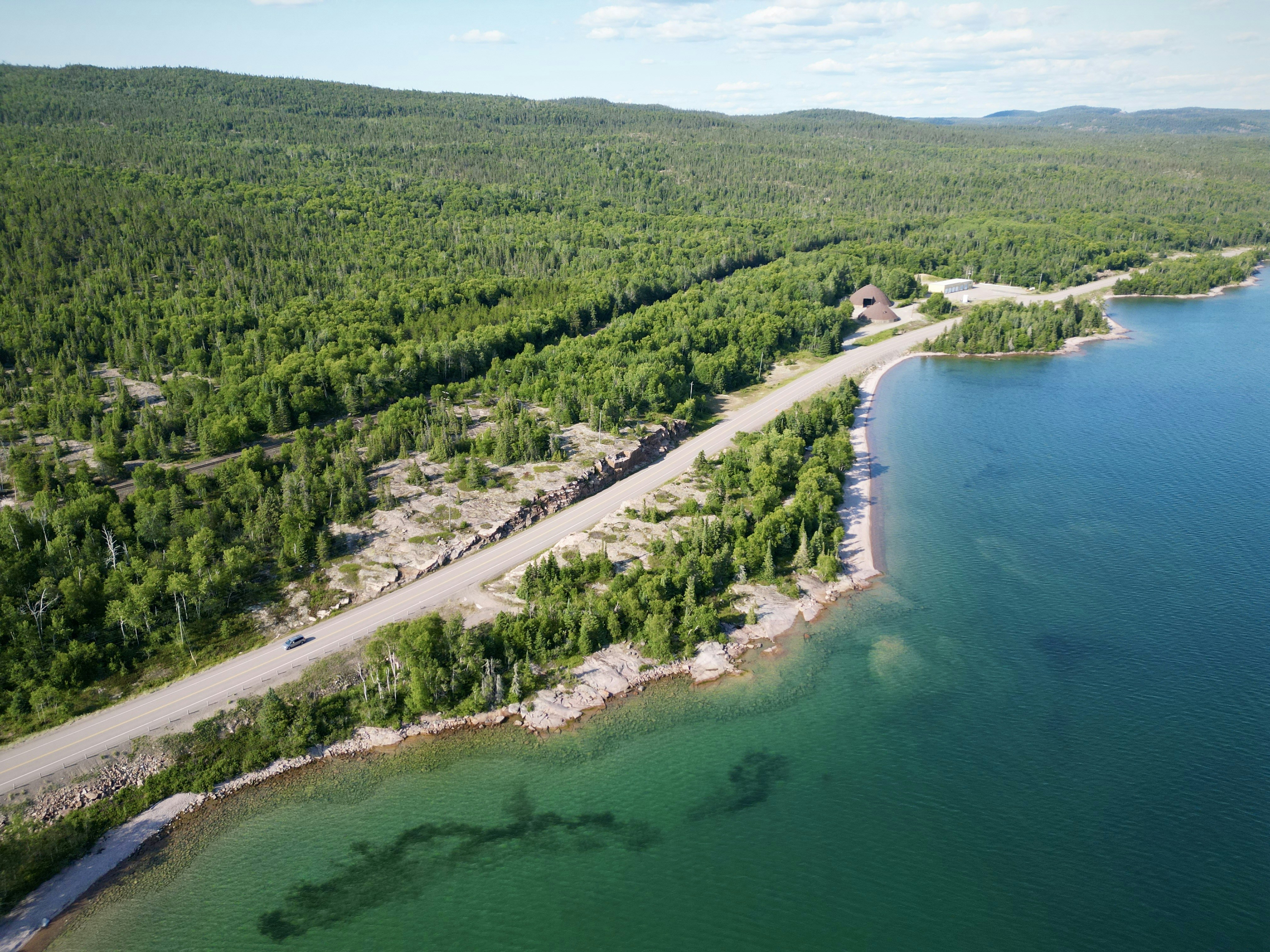 a large body of water surrounded by forest