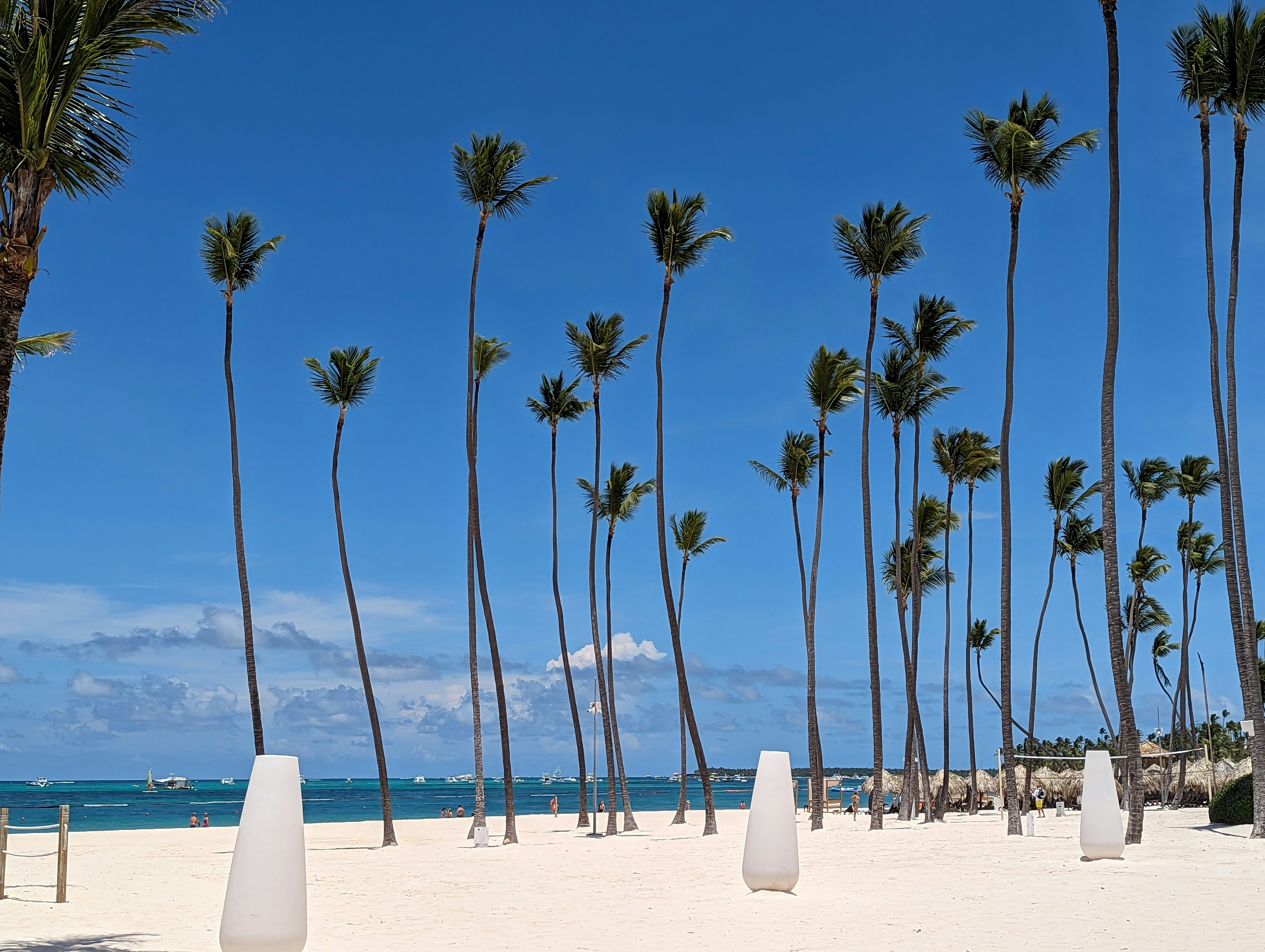 a beach with palm trees and white sand