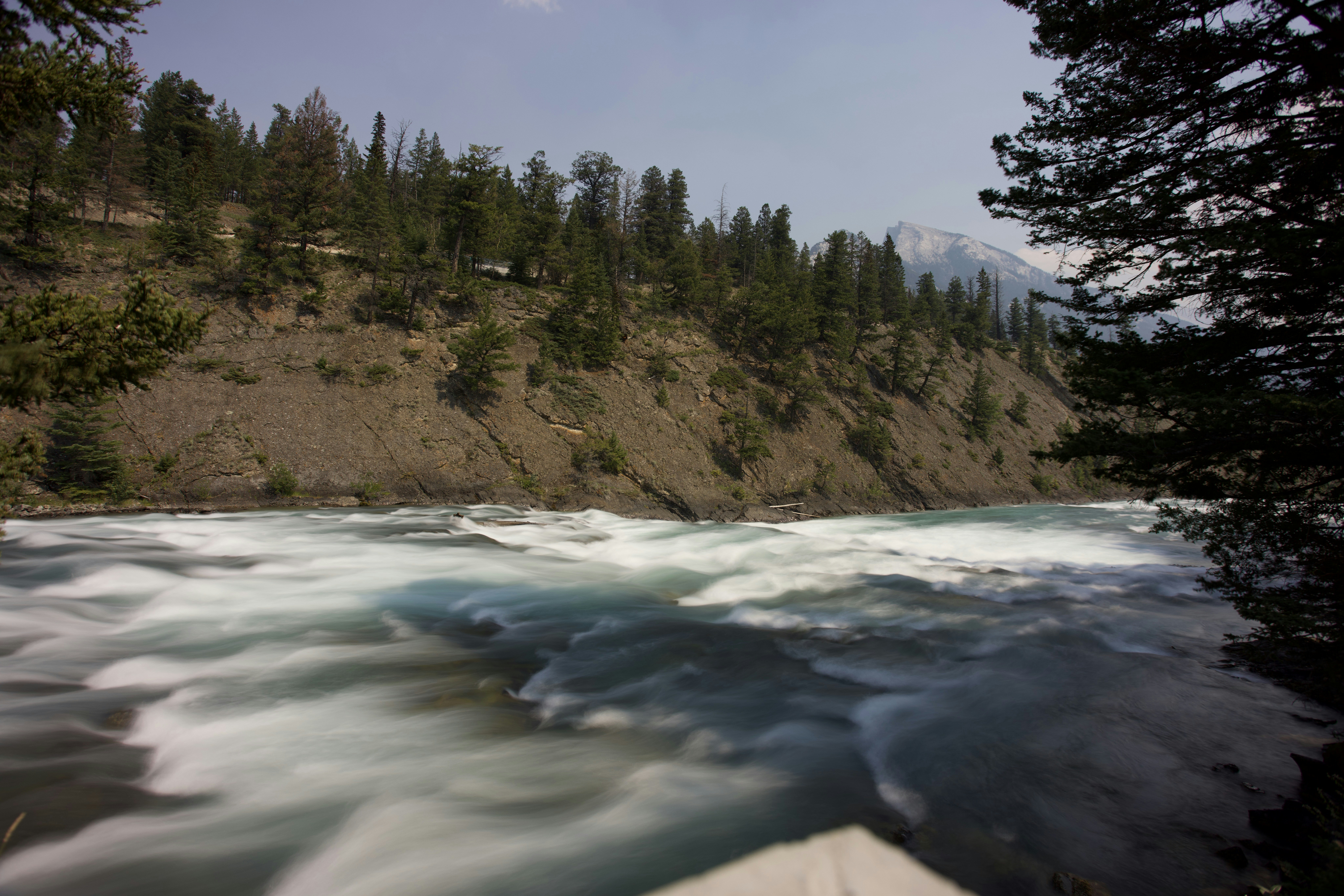 a view of a river running through a forest