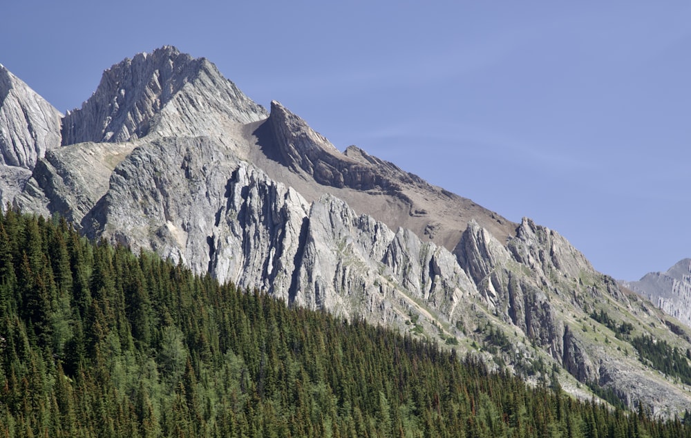 a large mountain with a forest below it