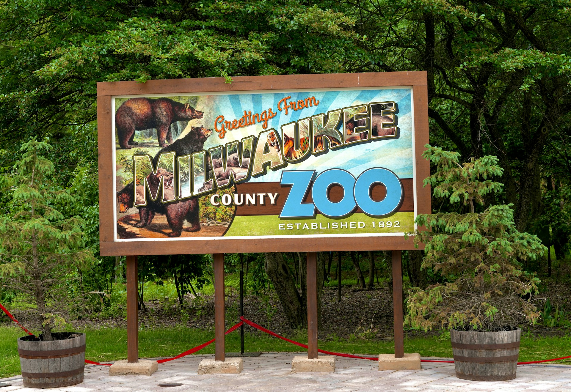 woman wearing yellow long-sleeved dress under white clouds and blue sky during daytime
