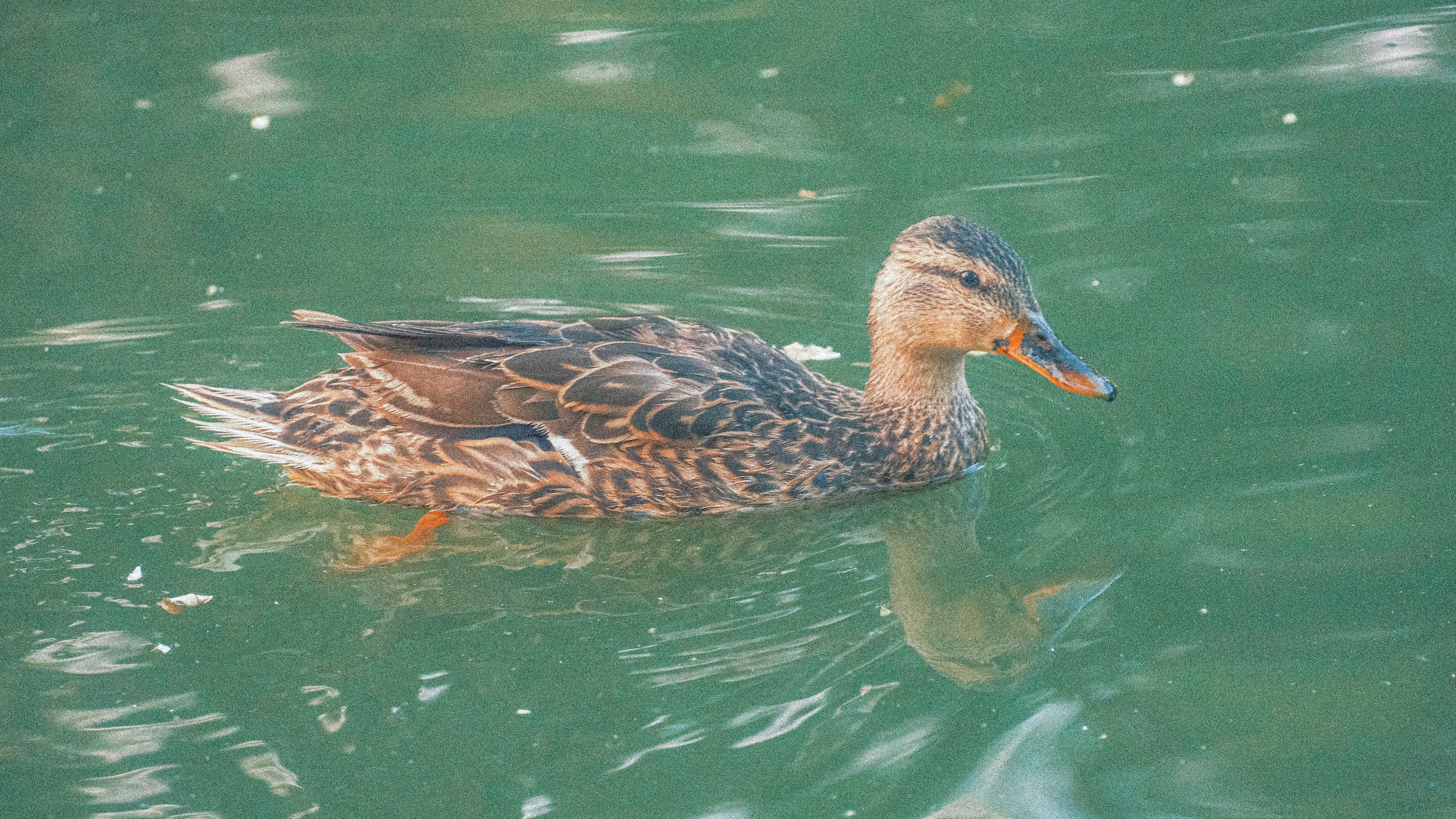 Photo by maxmeadowcroft