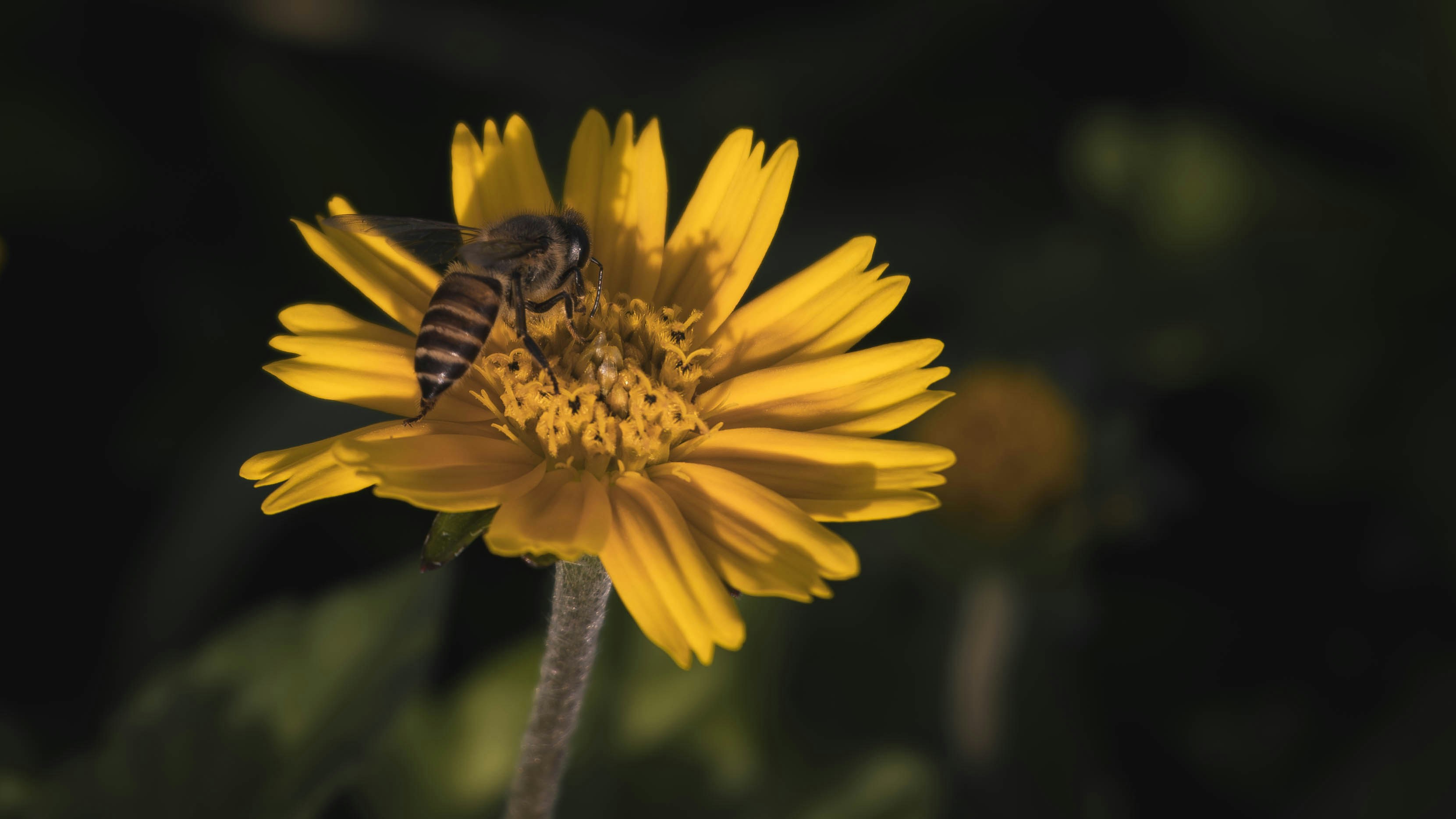 Photo by haythamkenway