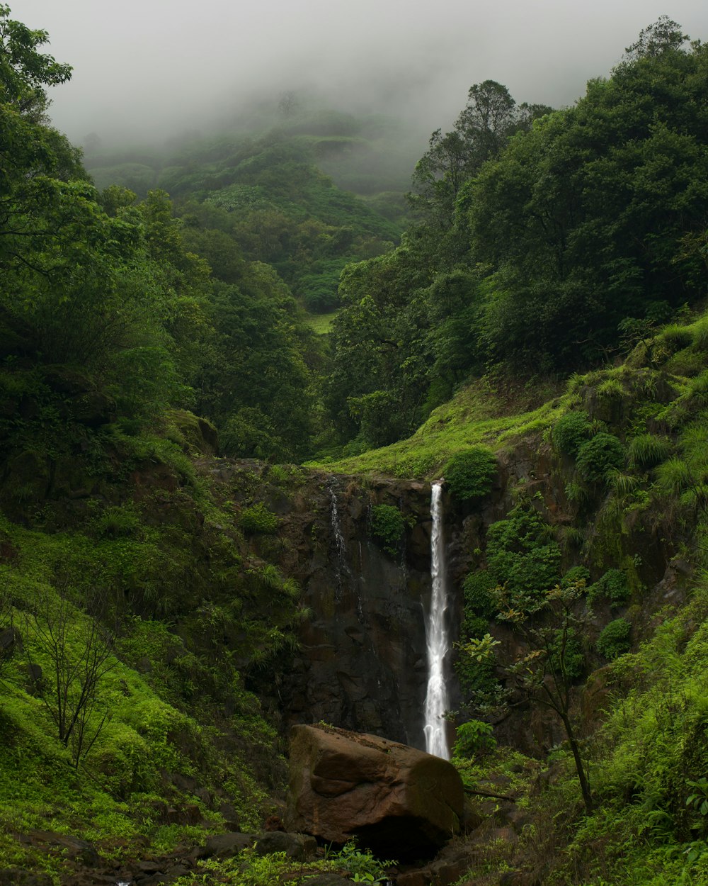 a waterfall in the middle of a lush green forest