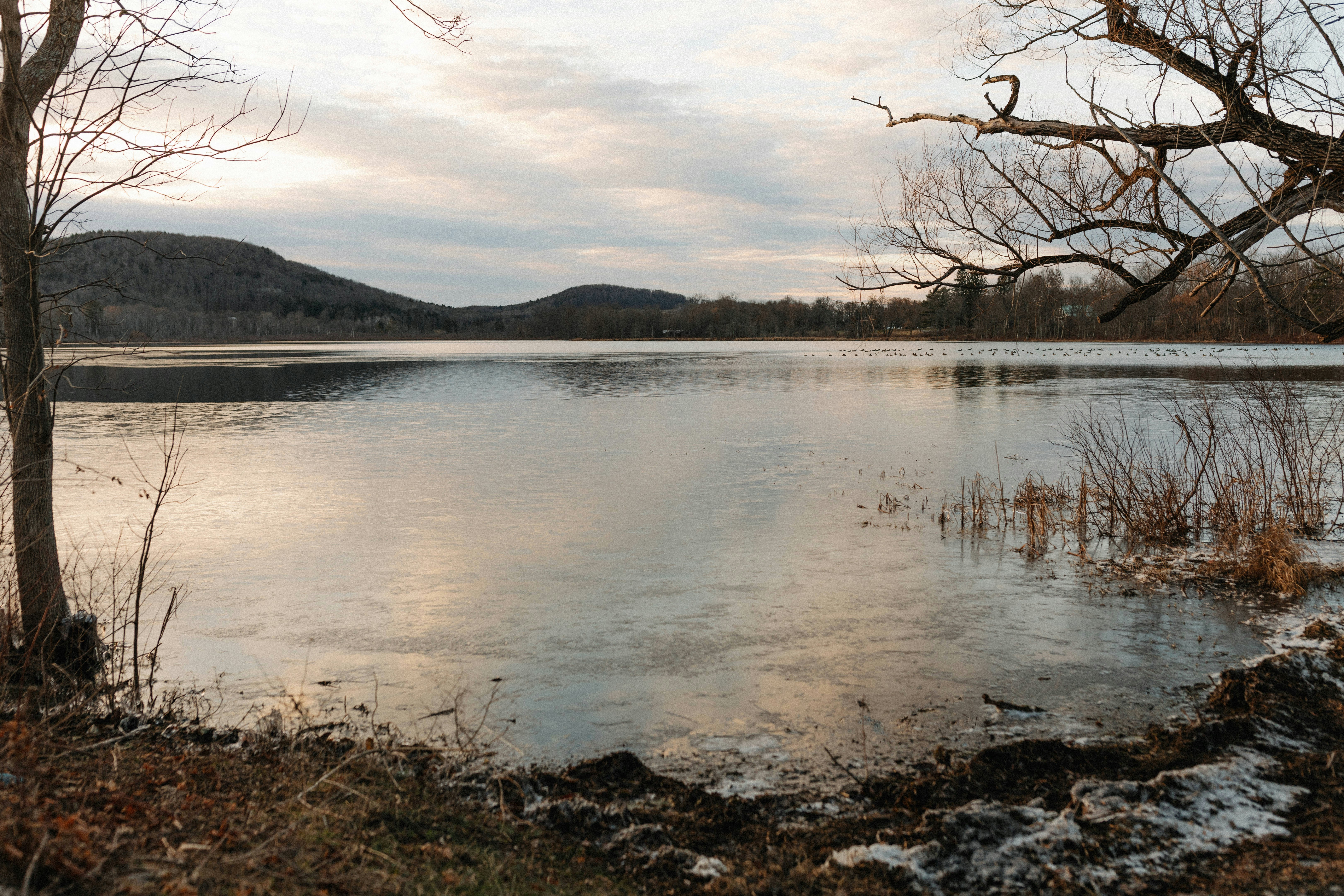 Photo by brittneyweng