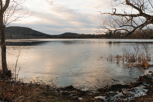 a large body of water surrounded by trees