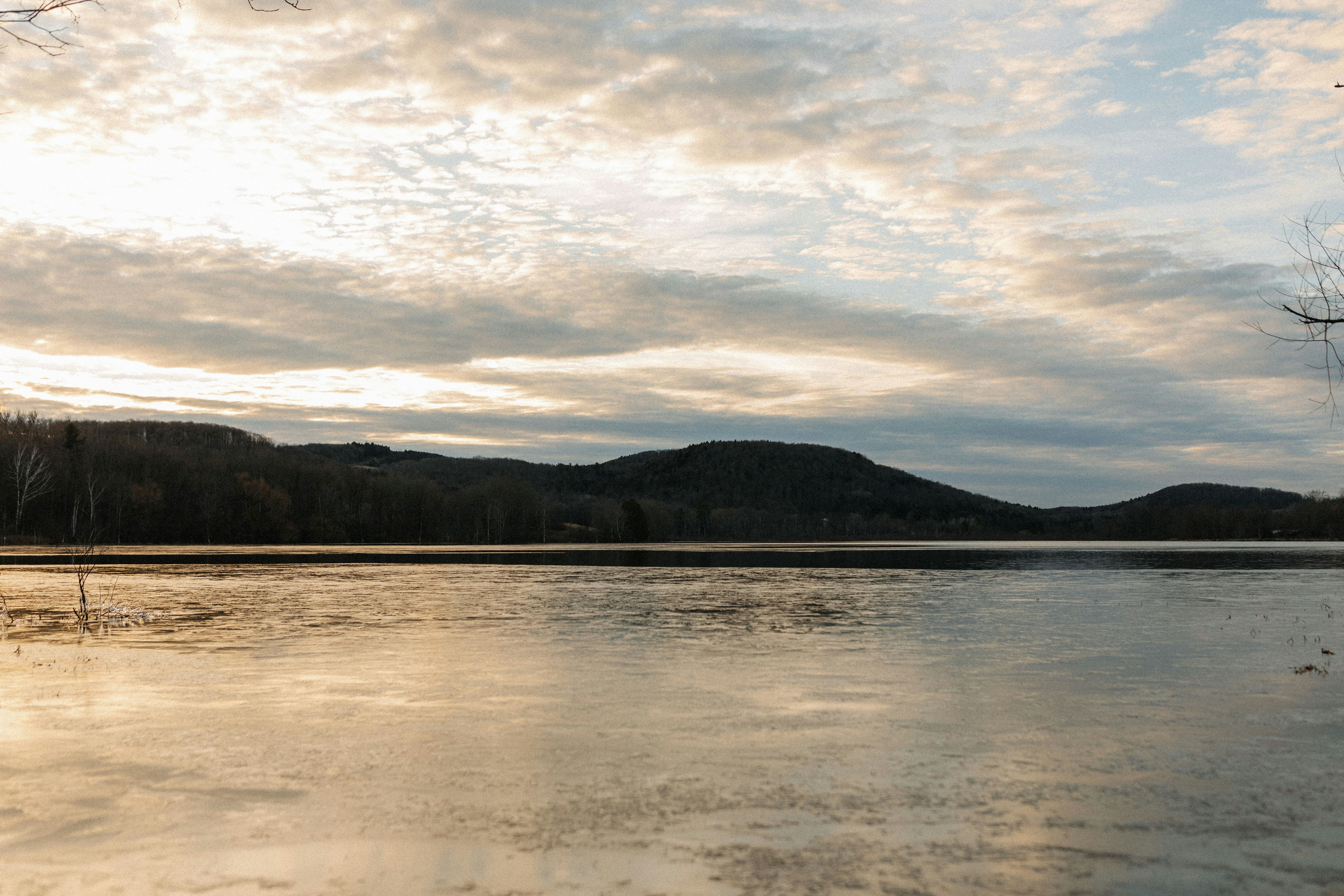 Photo by brittneyweng