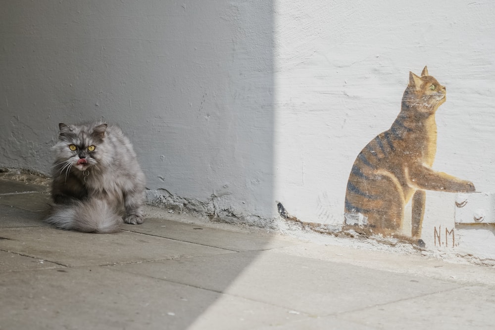 eine Katze, die neben einer Wand sitzt, auf der ein Bild einer Katze zu sehen ist