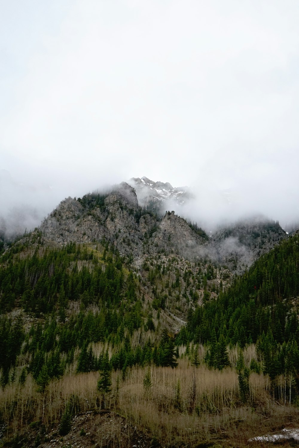 a mountain covered in clouds and trees on a cloudy day