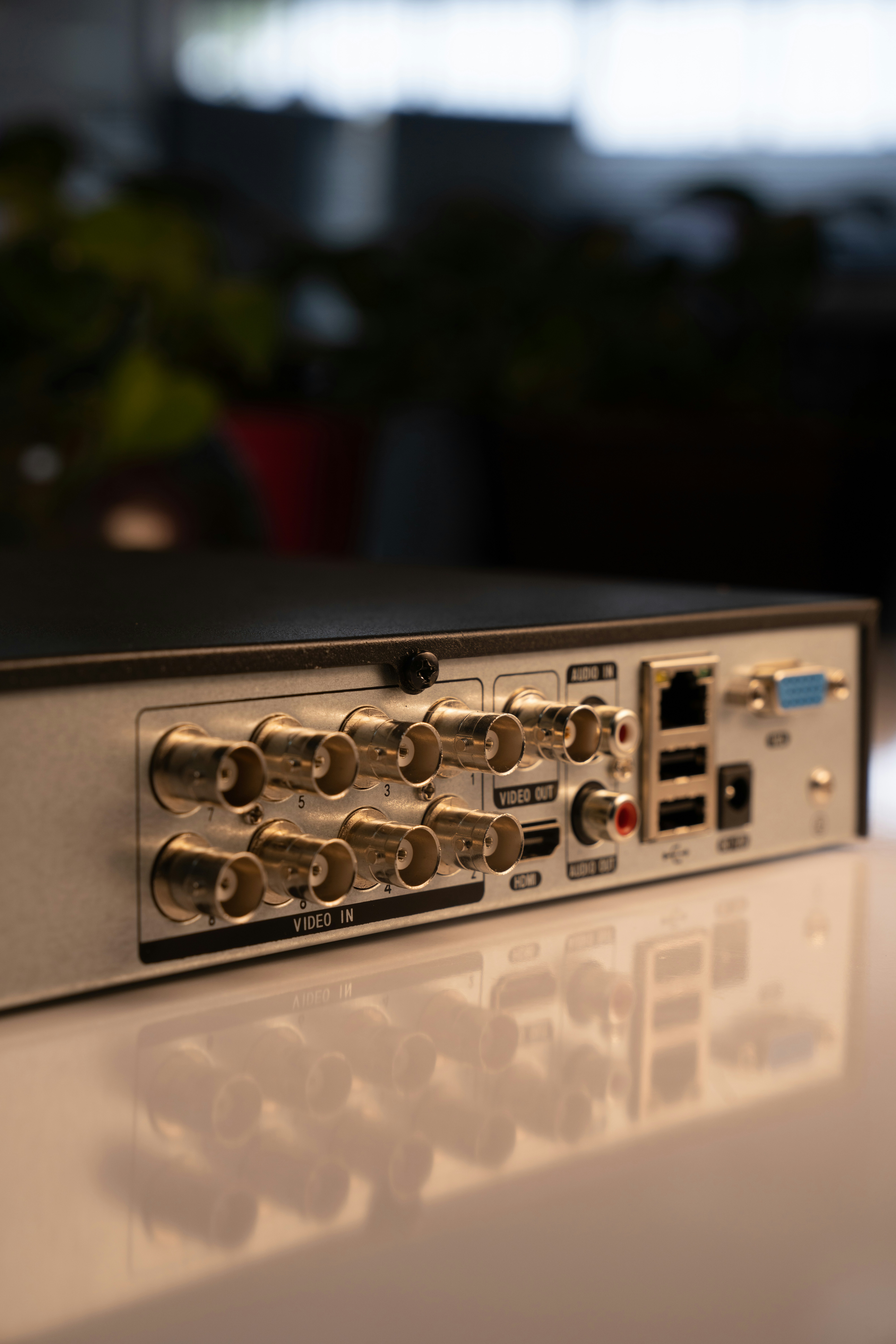 Photo by mehranbiabani