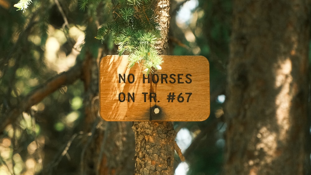 a wooden sign that says no horses on it