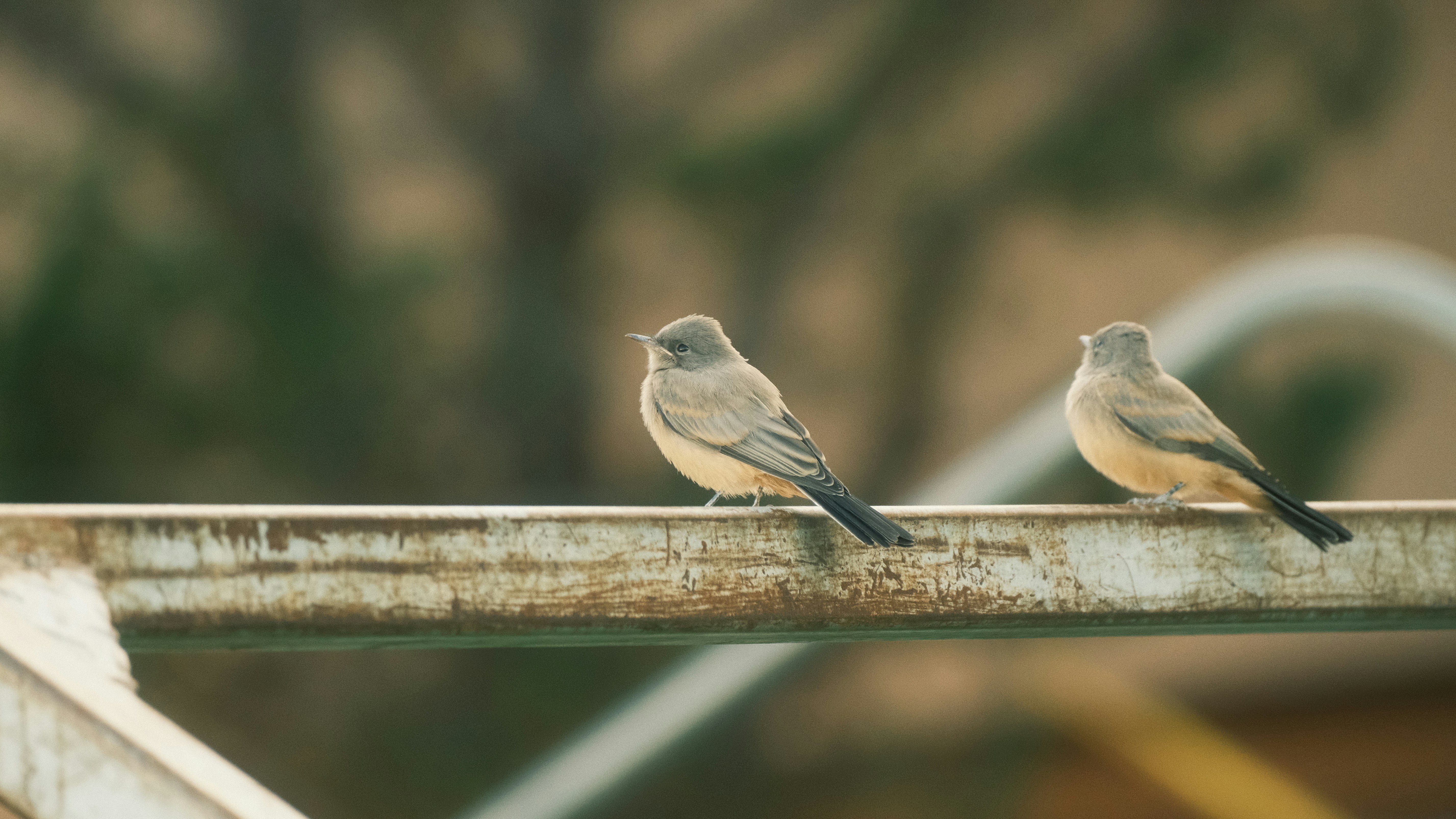 Photo by maxmeadowcroft