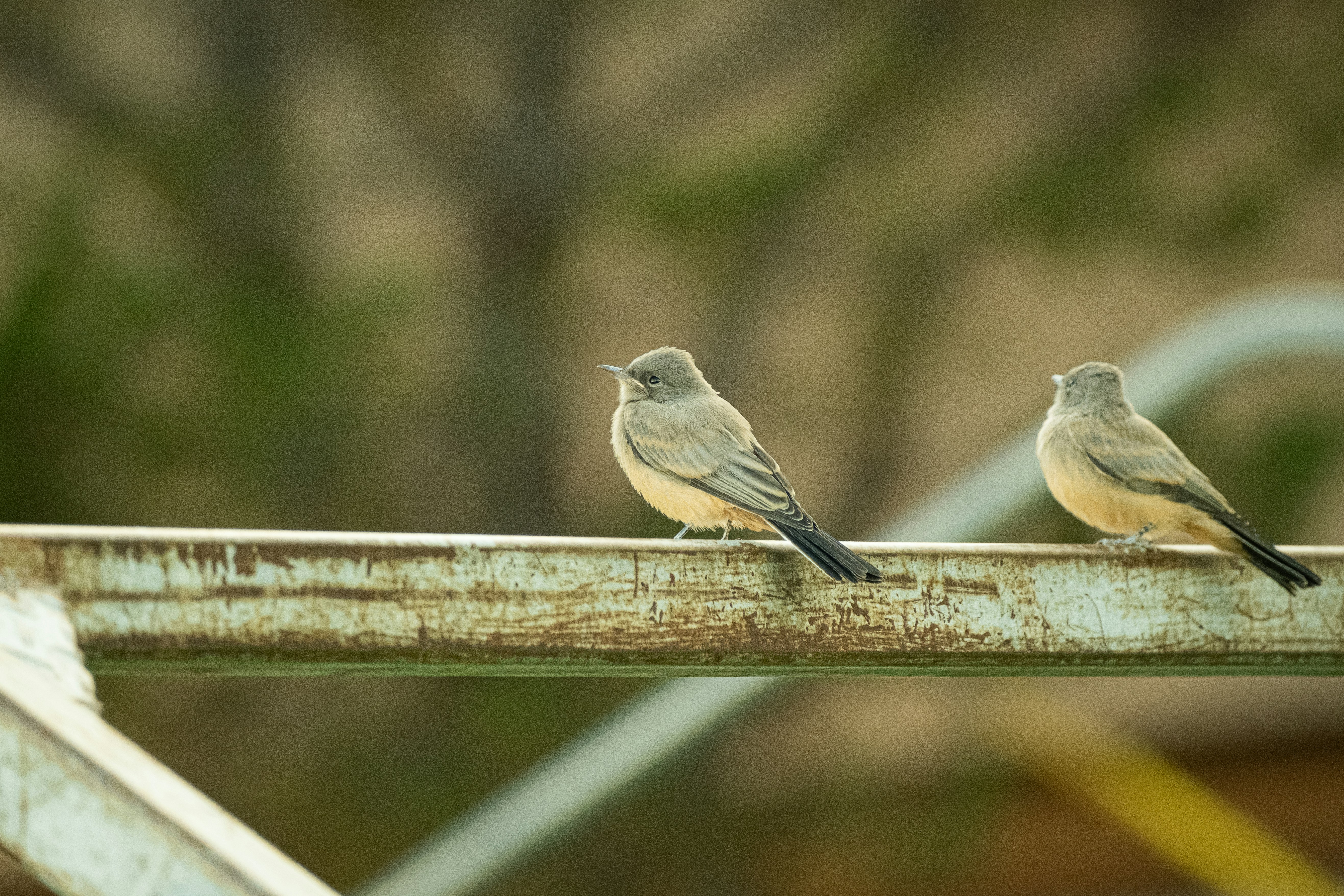 Photo by maxmeadowcroft