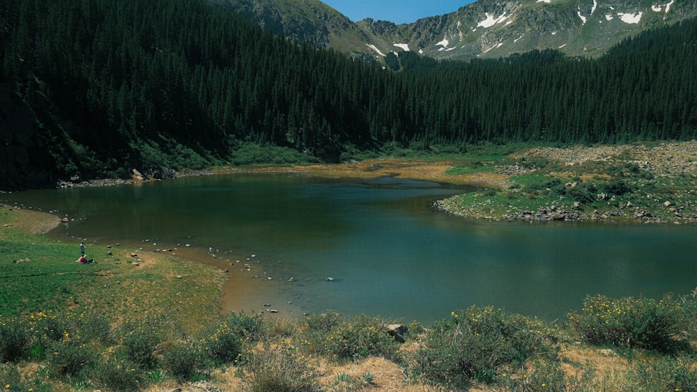a large lake surrounded by mountains and trees