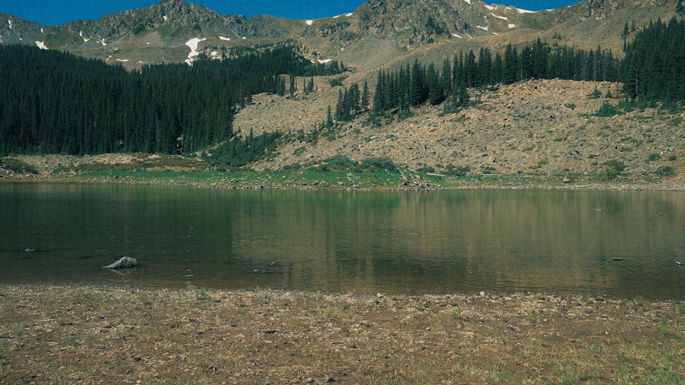 a lake surrounded by mountains and trees