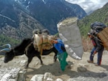 A mountainous landscape with a man, a yak, and another person carrying heavy loads. The yak and people are walking along a rugged path with immense mountains in the background, covered in green forests and patches of snow.