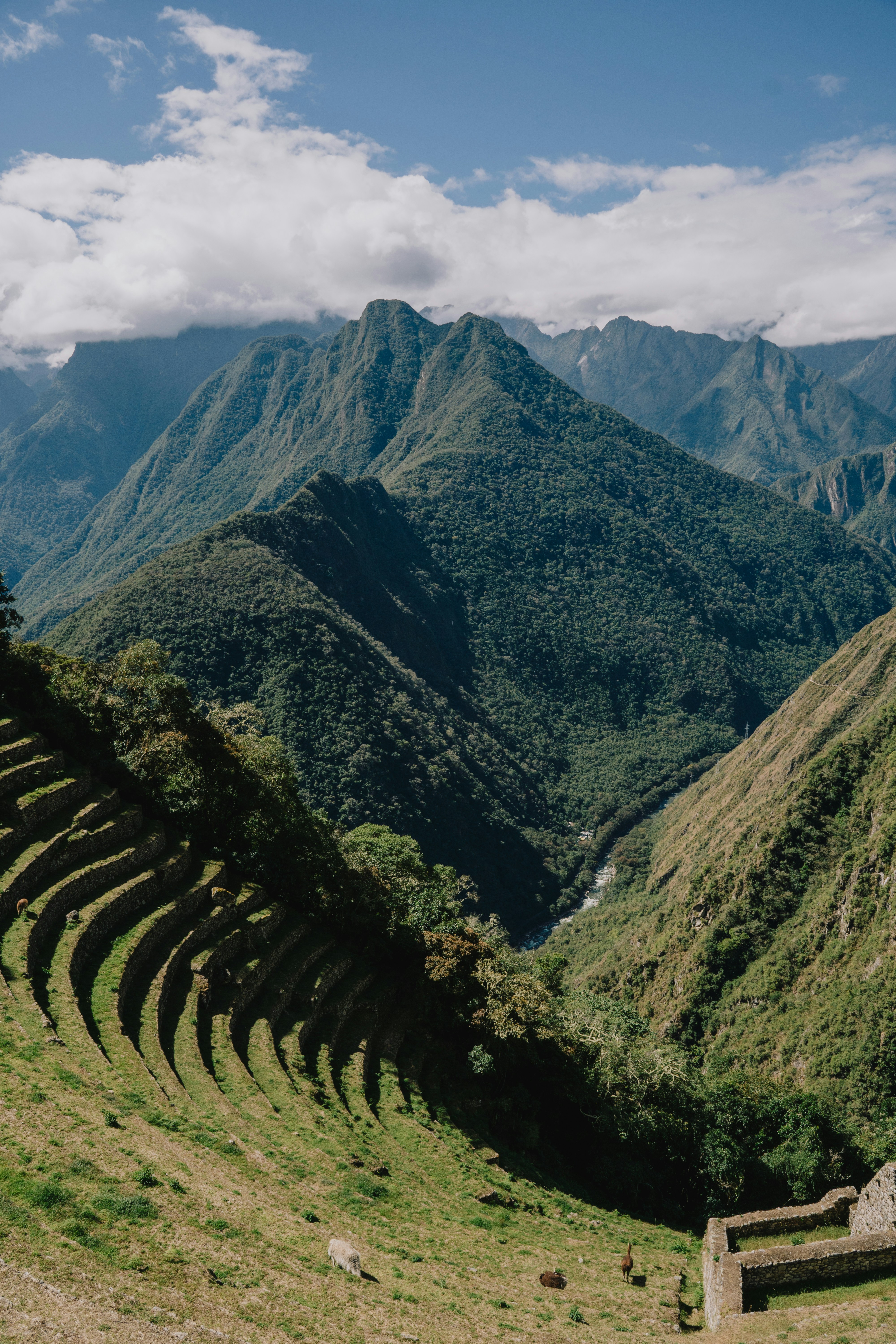 Photo by emmanuelcassar