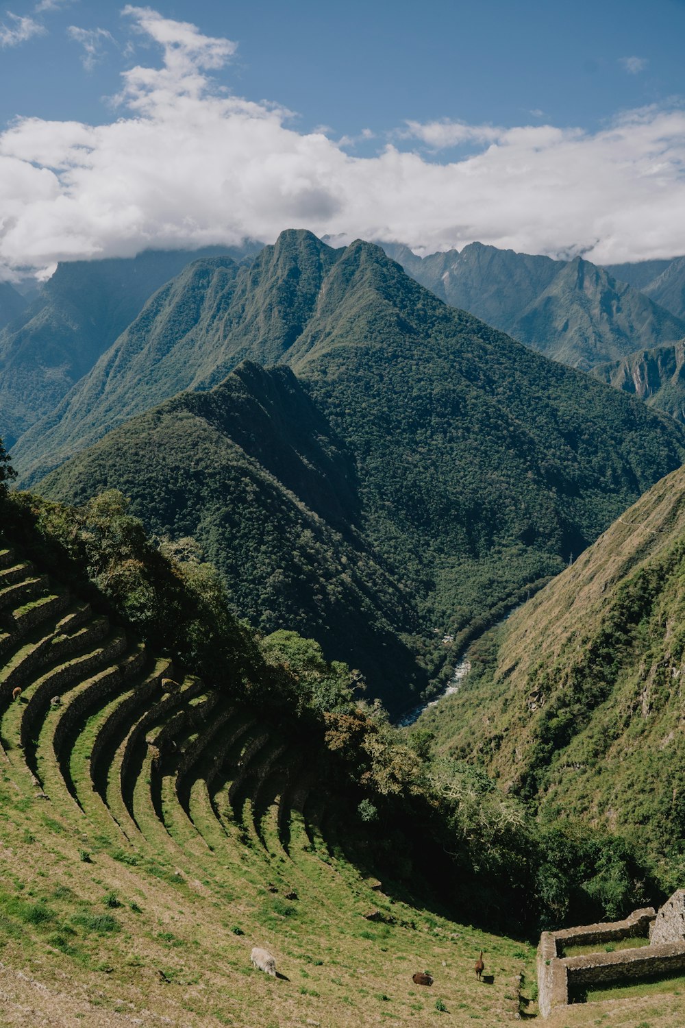 a scenic view of a valley with mountains in the background